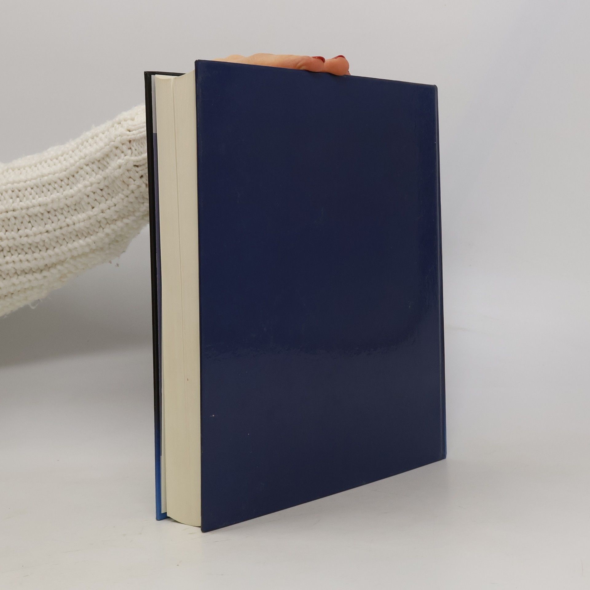 Collectif d'auteurs Seitenstetten. Kunst und Mönchtum an der Wiege Österreichs