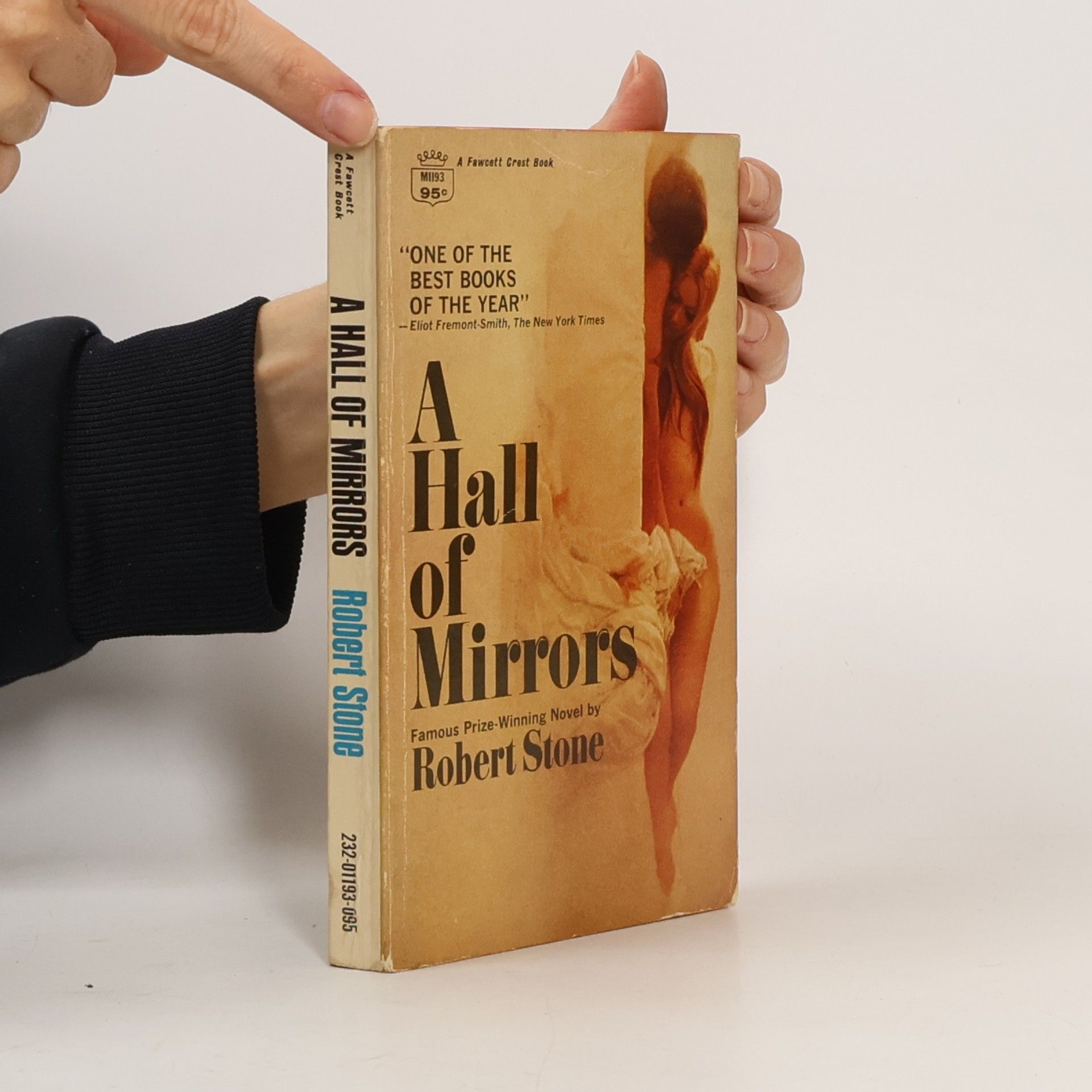 Robert Stone A Hall of Mirrors