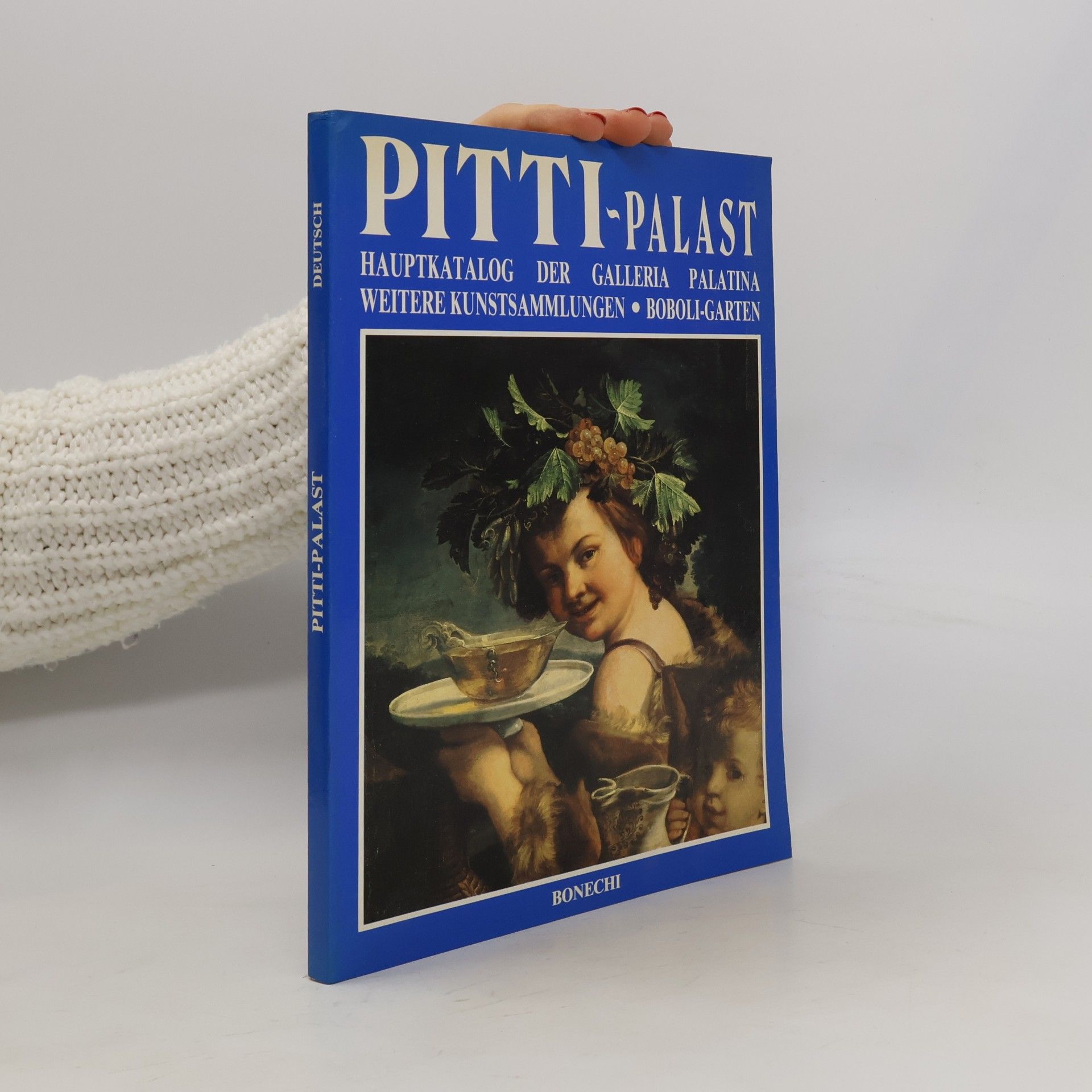 Pitti-Palast