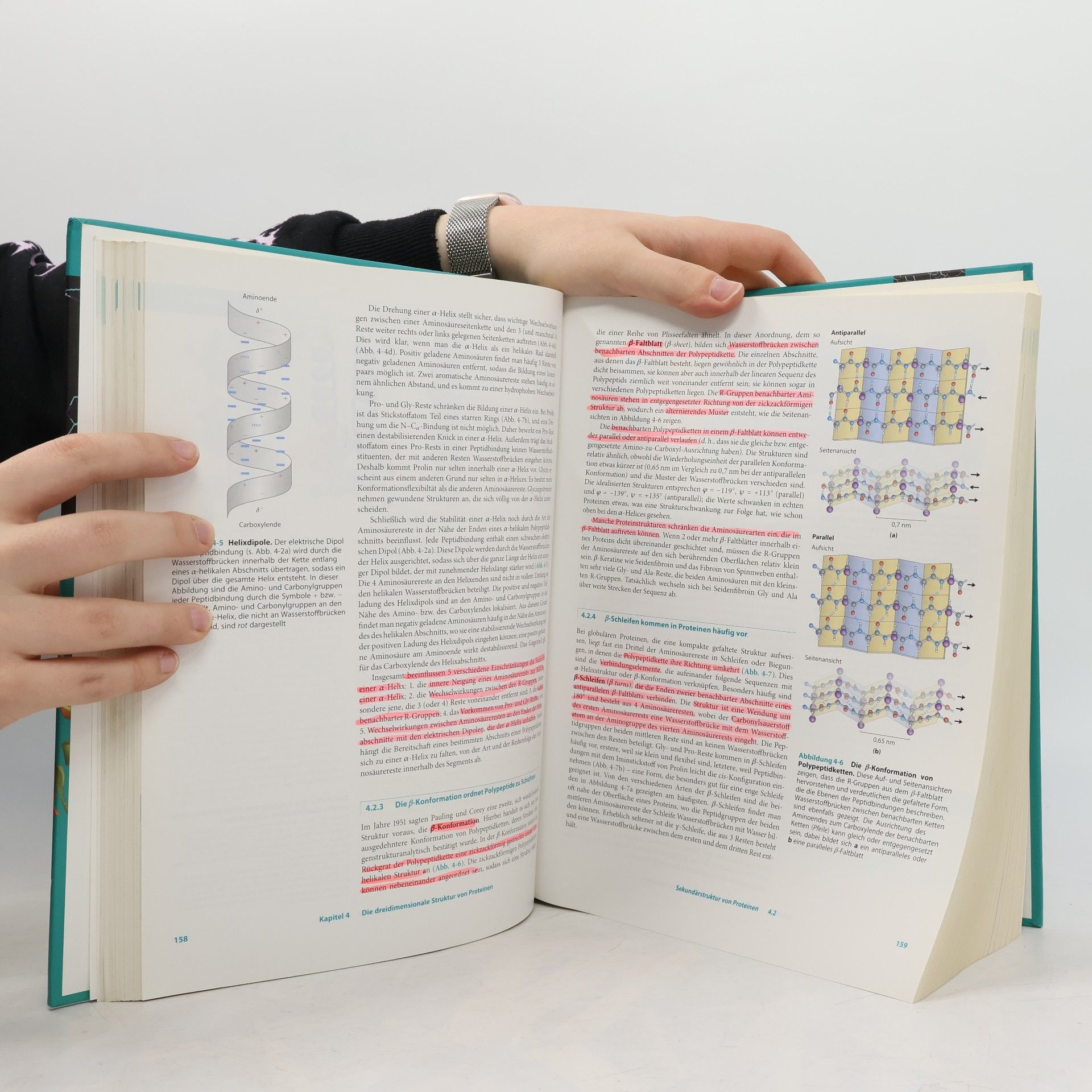 A. Held Springer-Lehrbuch: Lehninger Biochemie