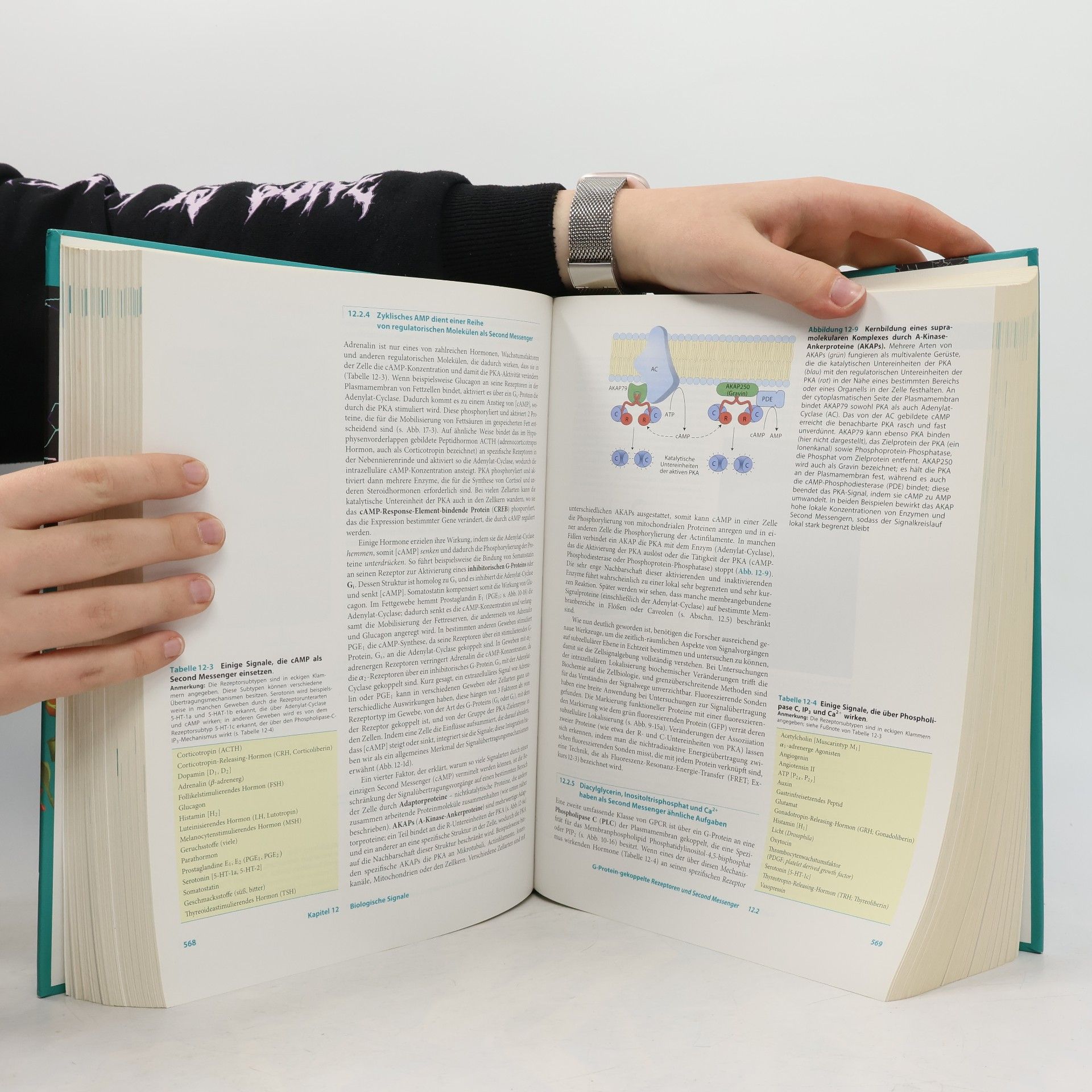 A. Held Springer-Lehrbuch: Lehninger Biochemie