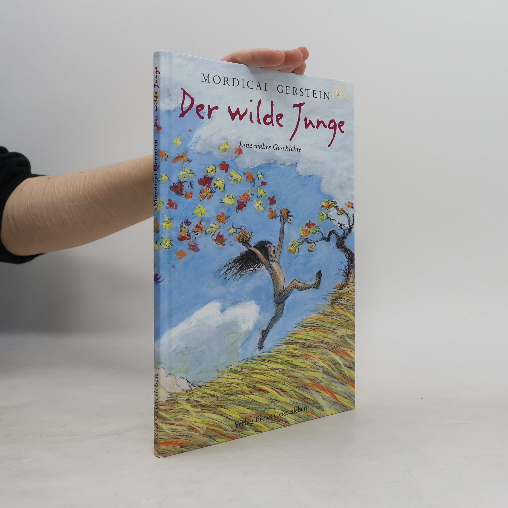 Der wilde Junge