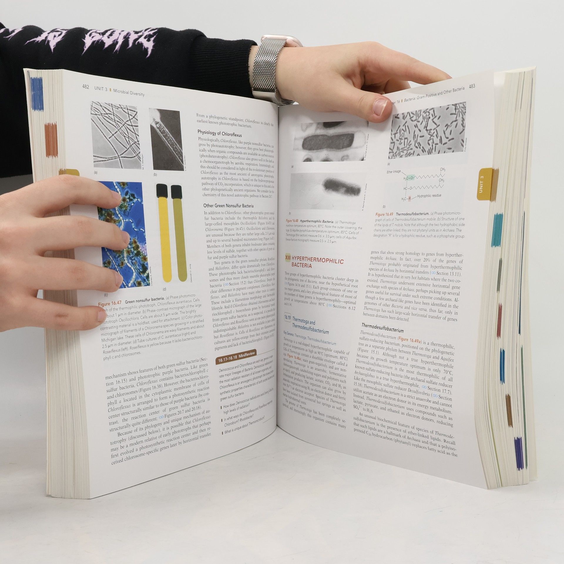 Michael T. Madigan Pearson International Edition: Brock Biology of Microorganisms - Twelfth Edition - International Edition