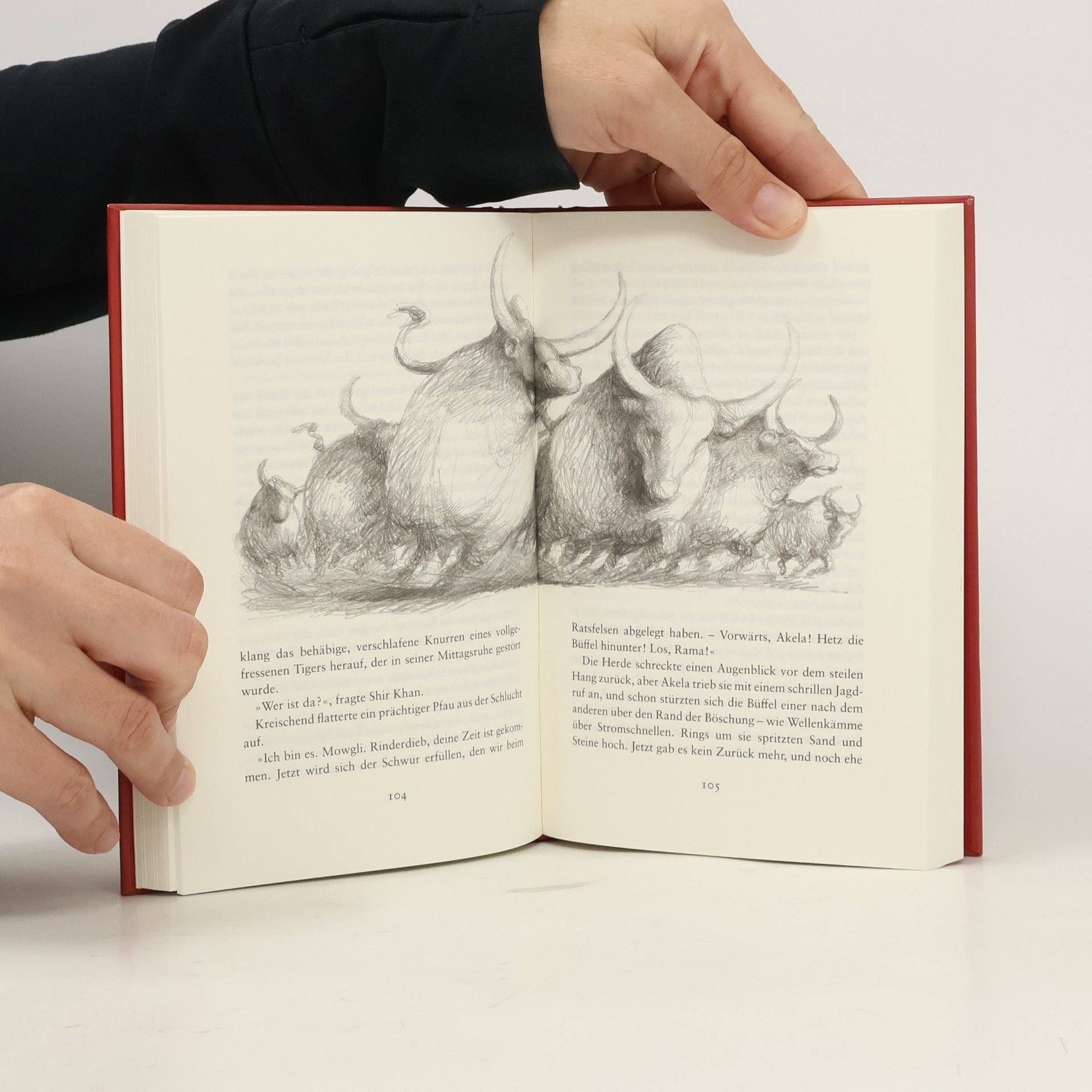 Rudyard Kipling Das Dschungelbuch