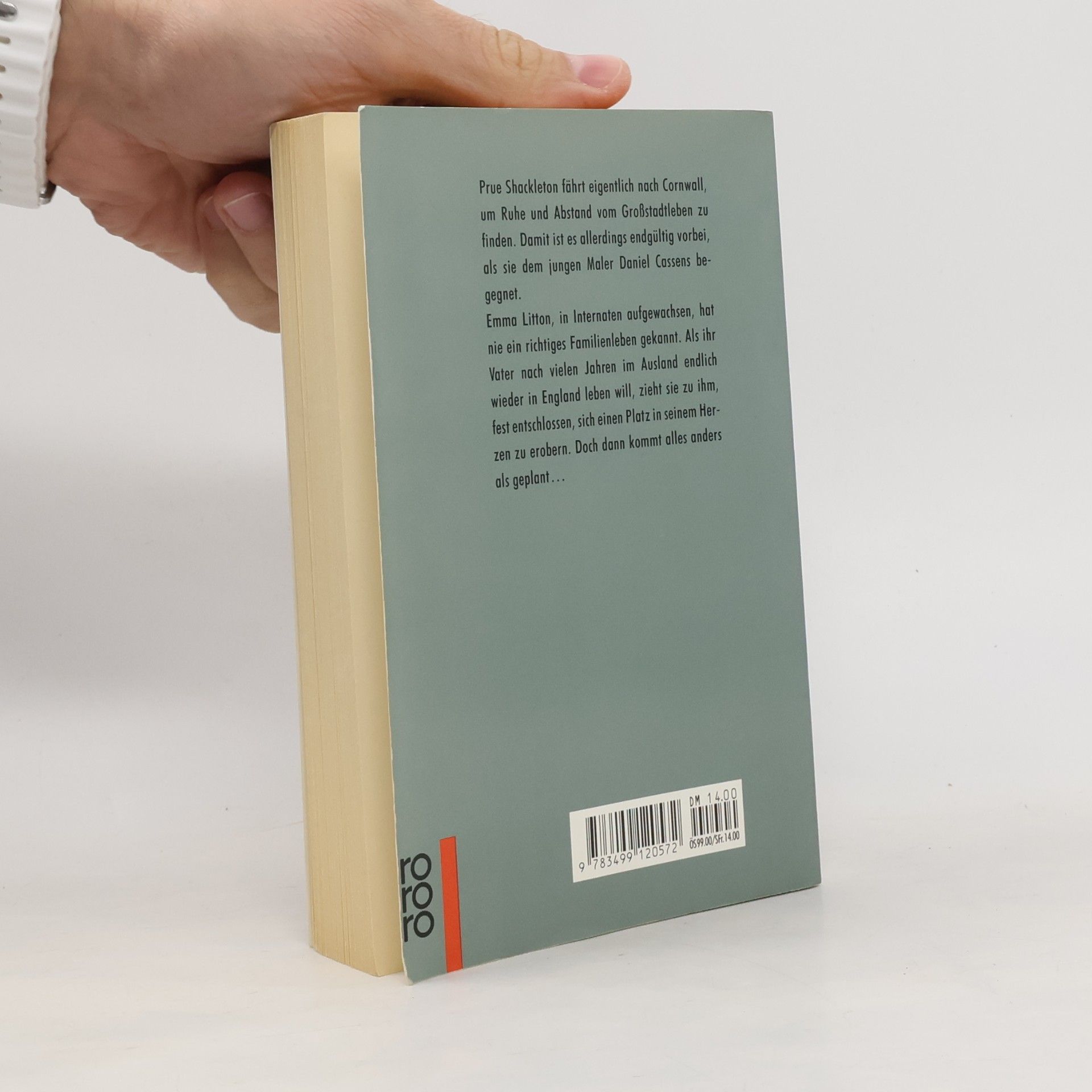 Rosamunde Pilcher Karussell des Lebens. Lichterspiele