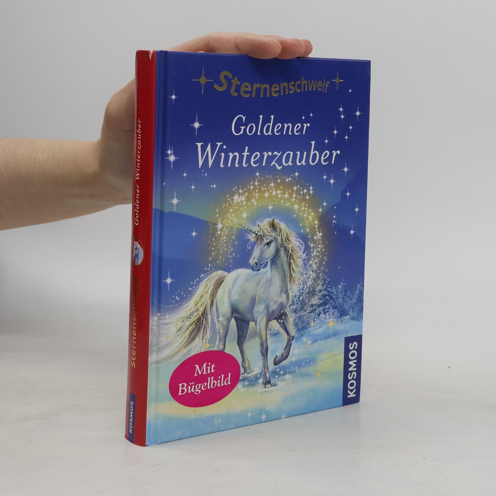 Linda Champan Sternenschweif. Goldener Winterzauber 51