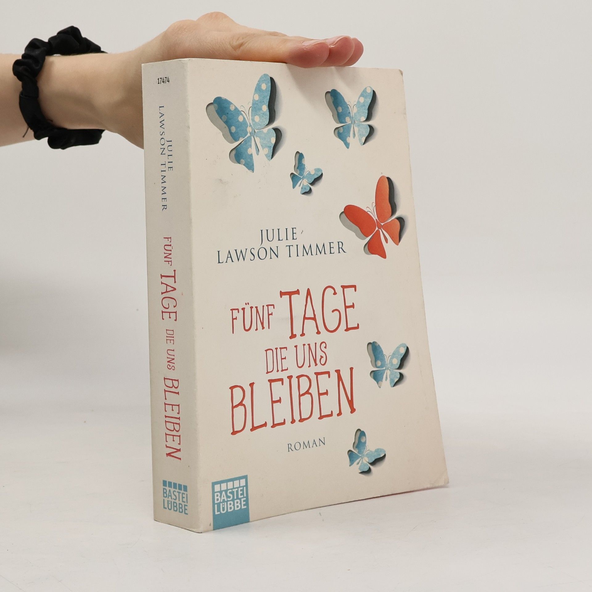 Julie Lawson Timmer Fünf Tage, die uns bleiben