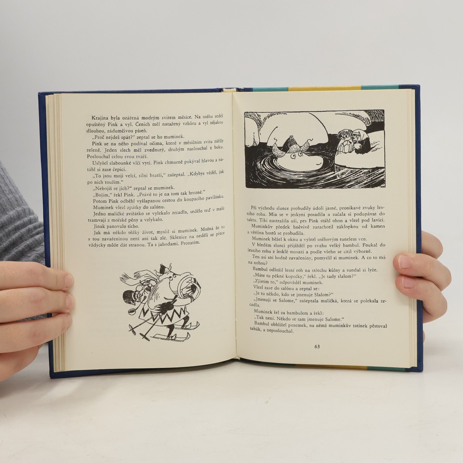 Tove Jansson Čarovná zima