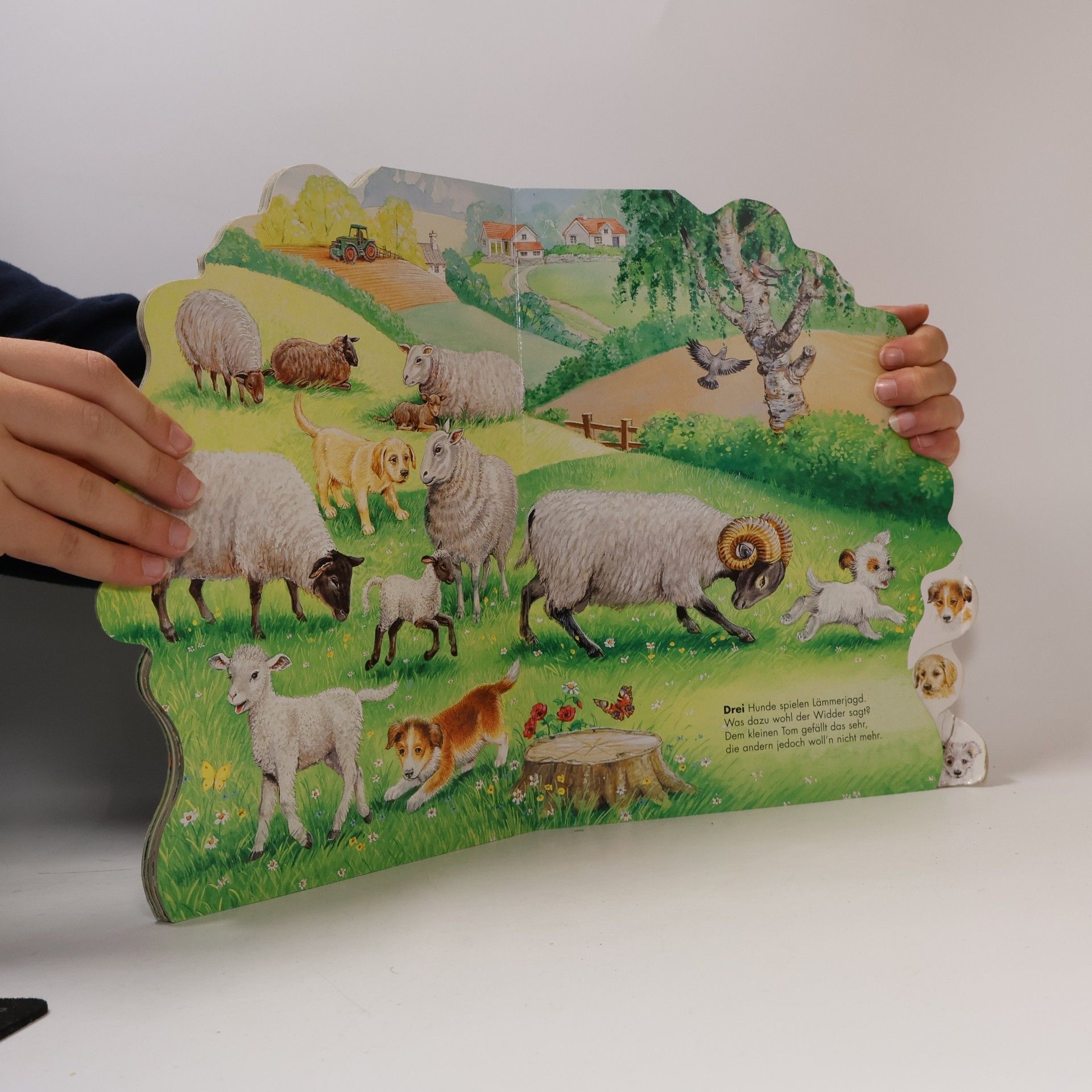 Ray Cresswell 10 kleine Hundebabys
