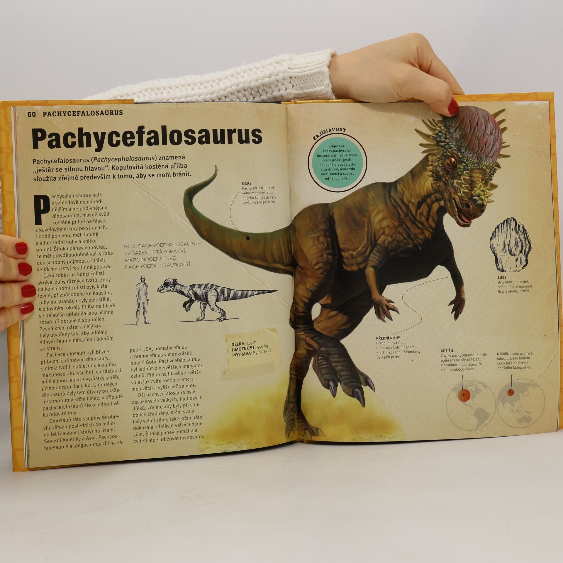 Auteurscollectief Dinosauři. Setkání s obry pravěkého světa