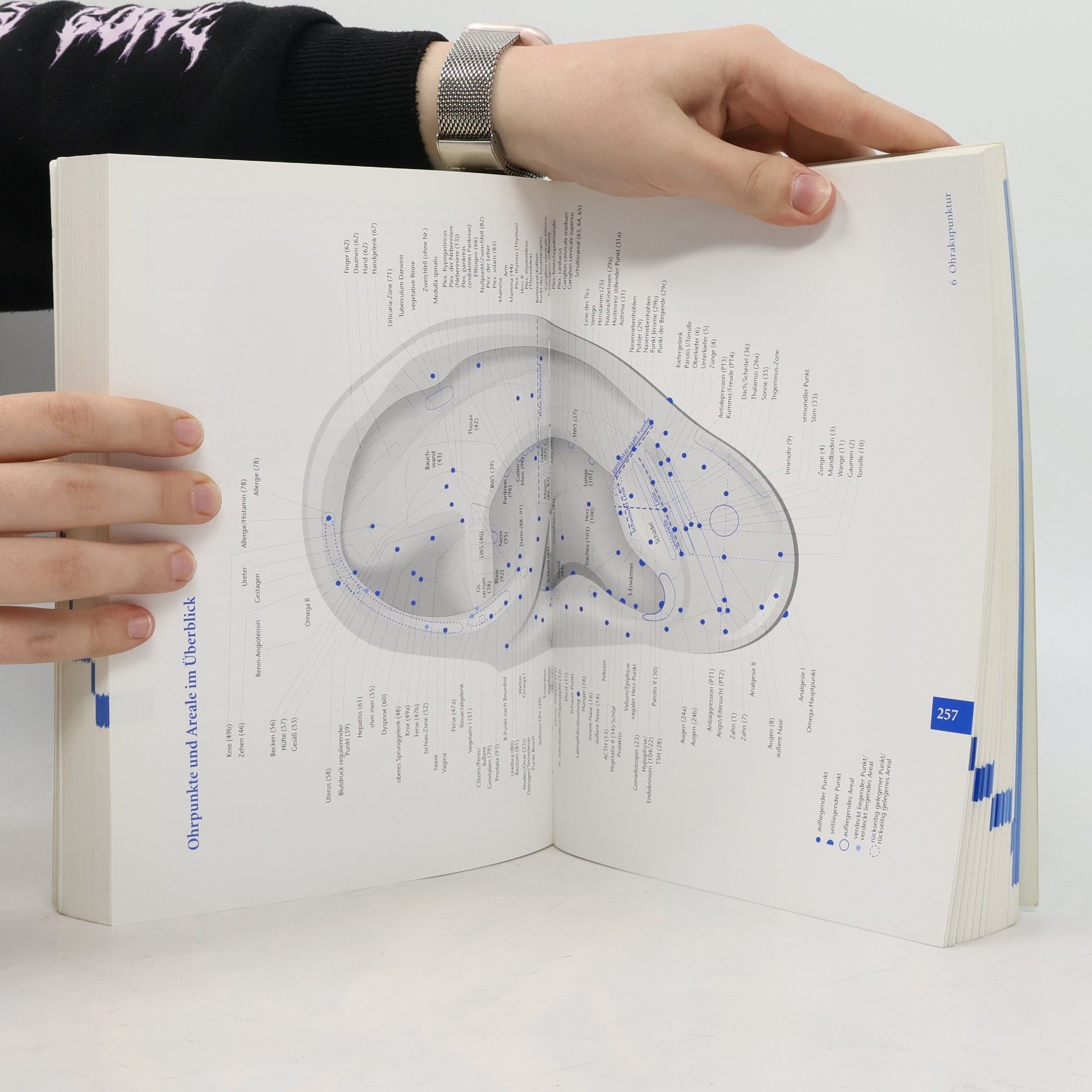 Naschmil Pollmann Basislehrbuch Akupunktur