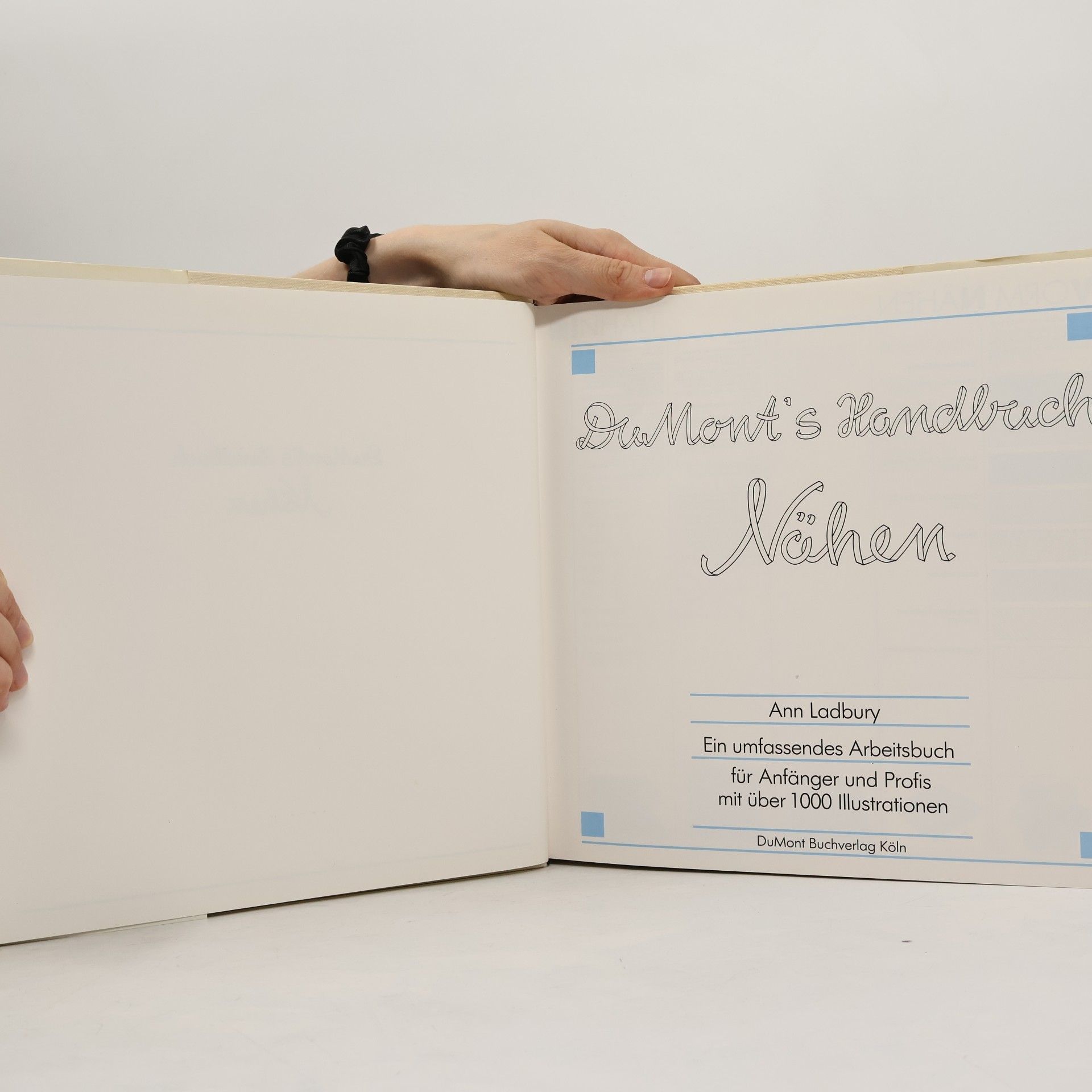 Ann Ladbury DuMont's Handbuch Nähen