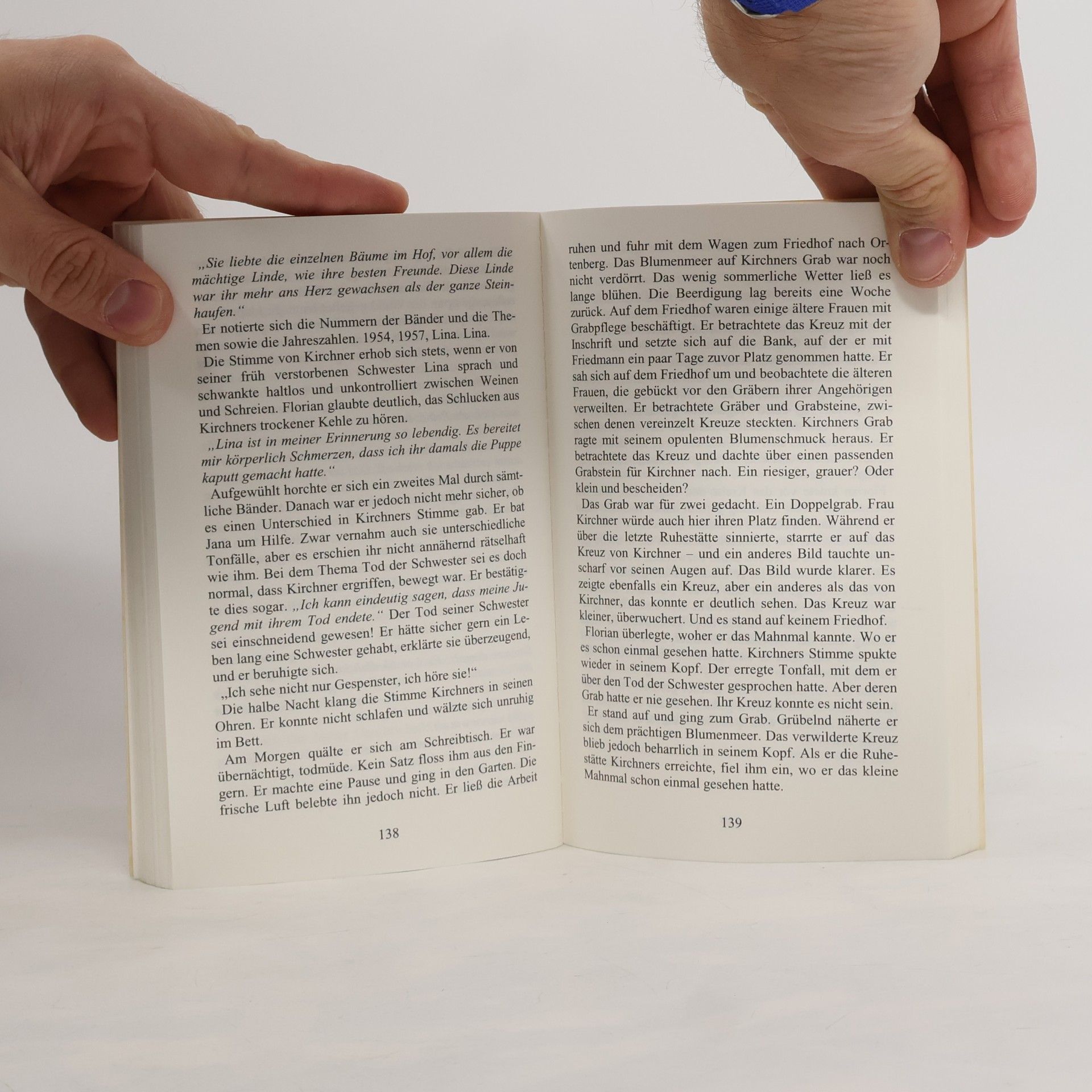 Harald Rudolf Biografie eines Sommers