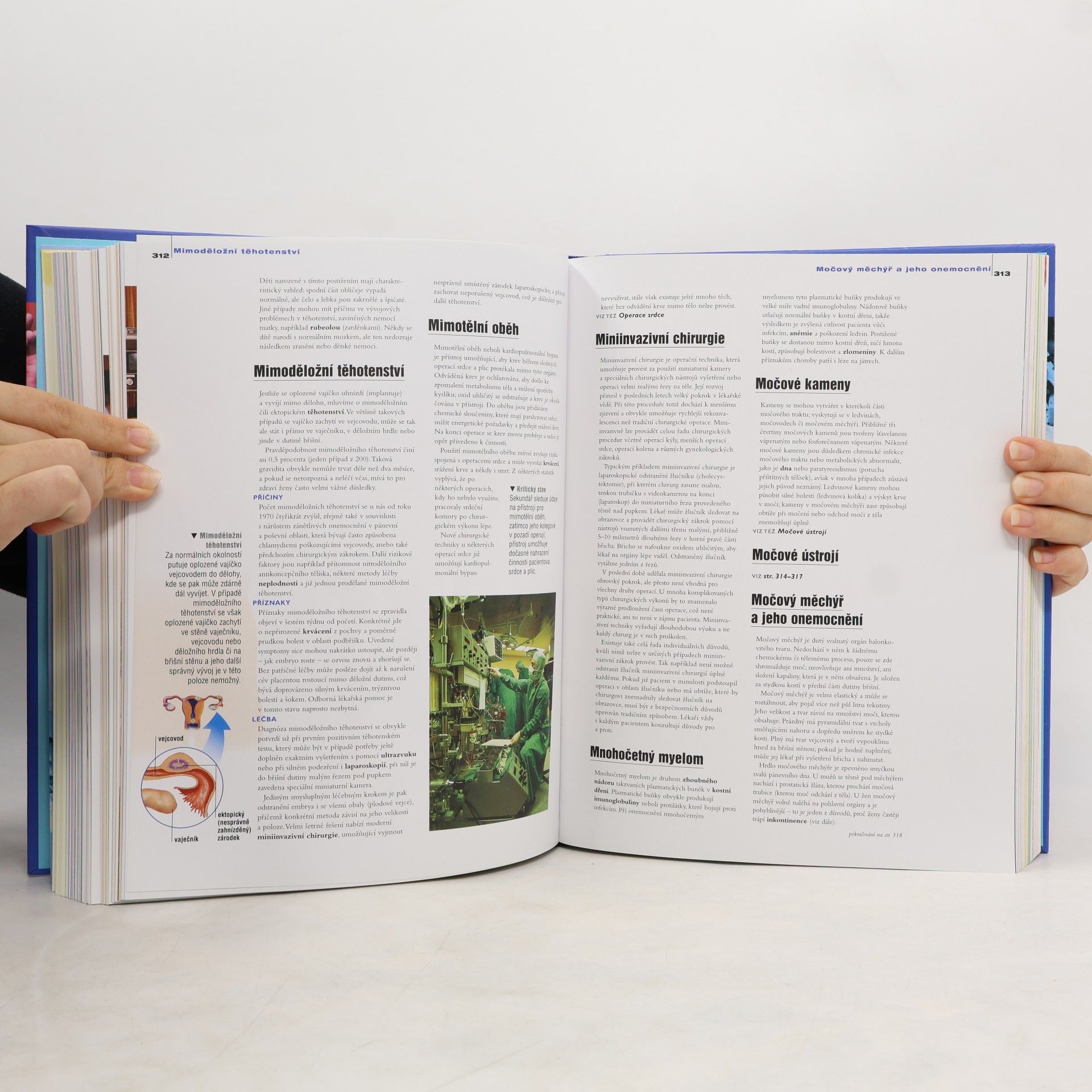 Autorenkollektiv Rodinná encyklopedie medicíny a zdraví