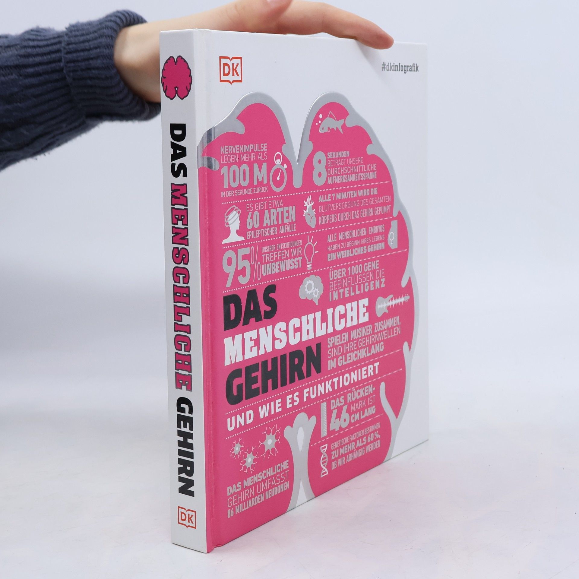 Catherine Collin #dkinfografik. Das menschliche Gehirn und wie es funktioniert