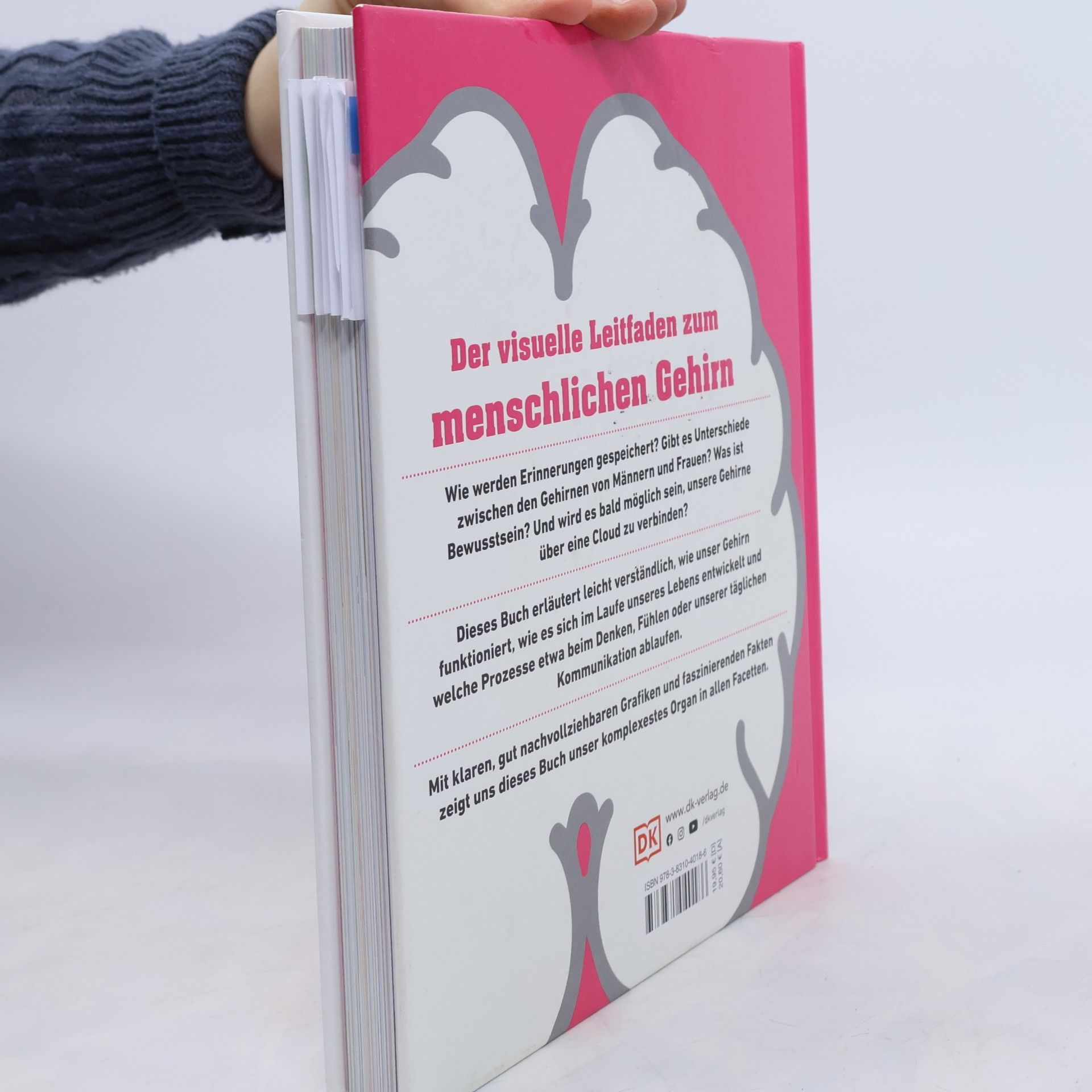 Catherine Collin #dkinfografik. Das menschliche Gehirn und wie es funktioniert