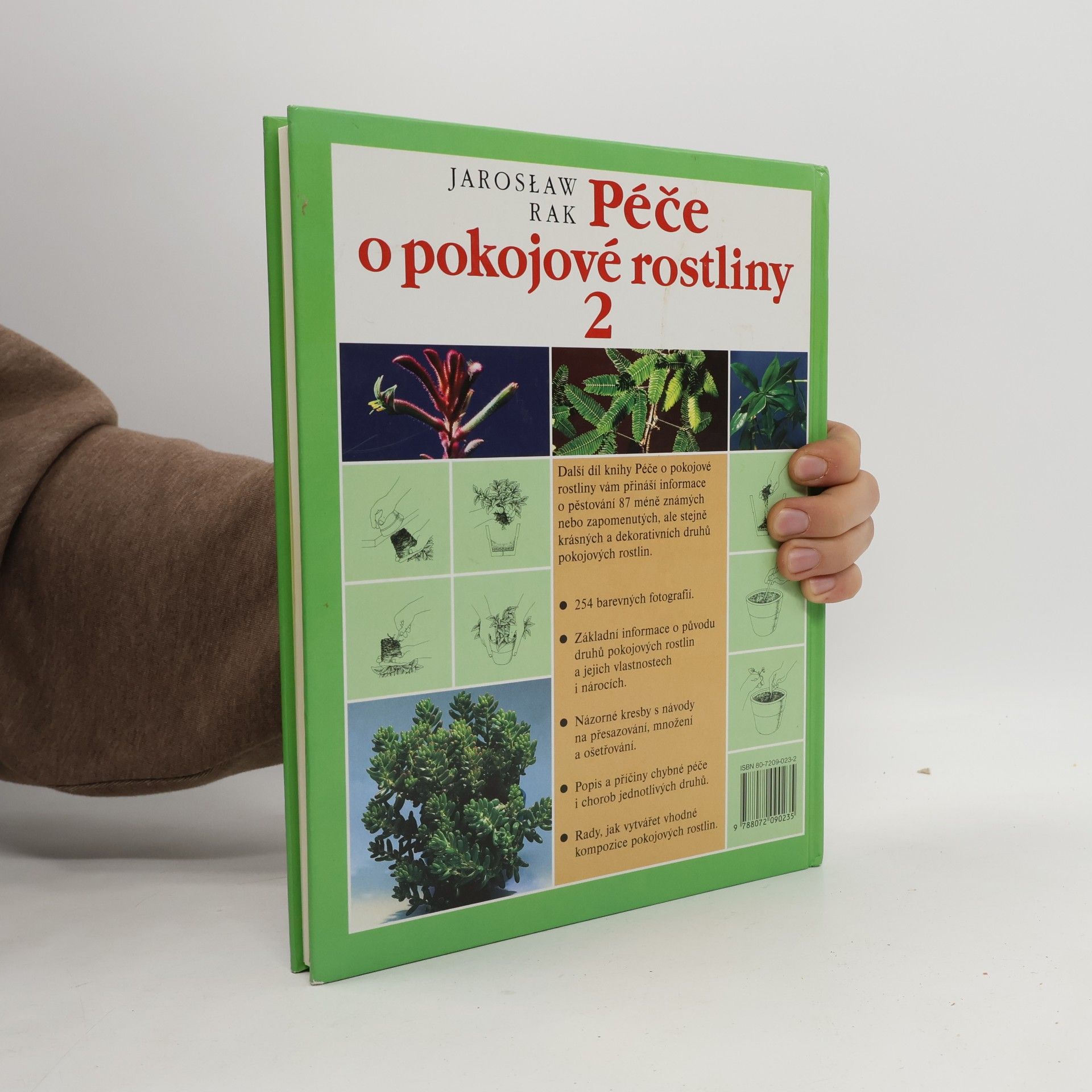 Jarosław Rak Péče o pokojové rostliny 2