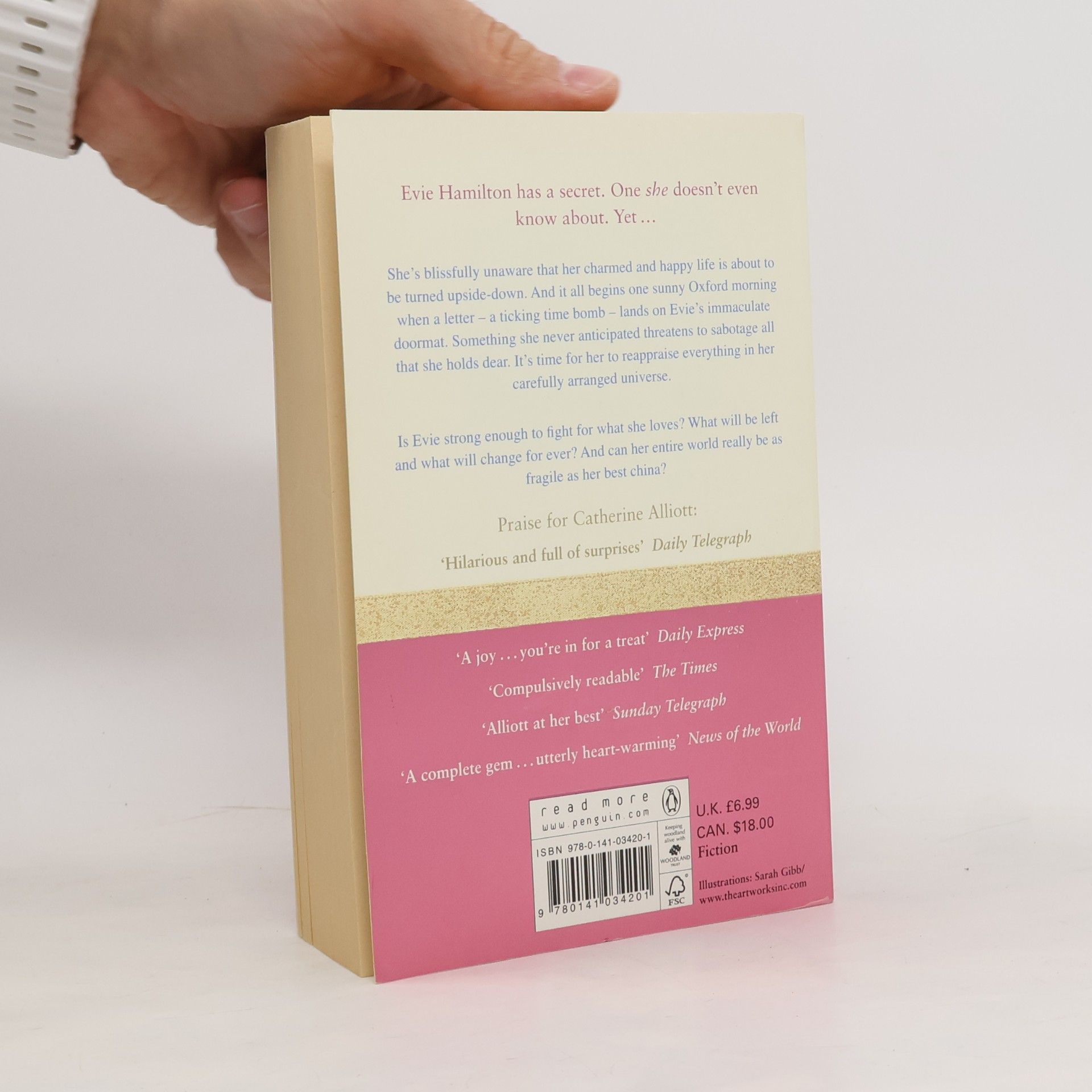 Catherine Alliott The Secret Life of Evie Hamilton