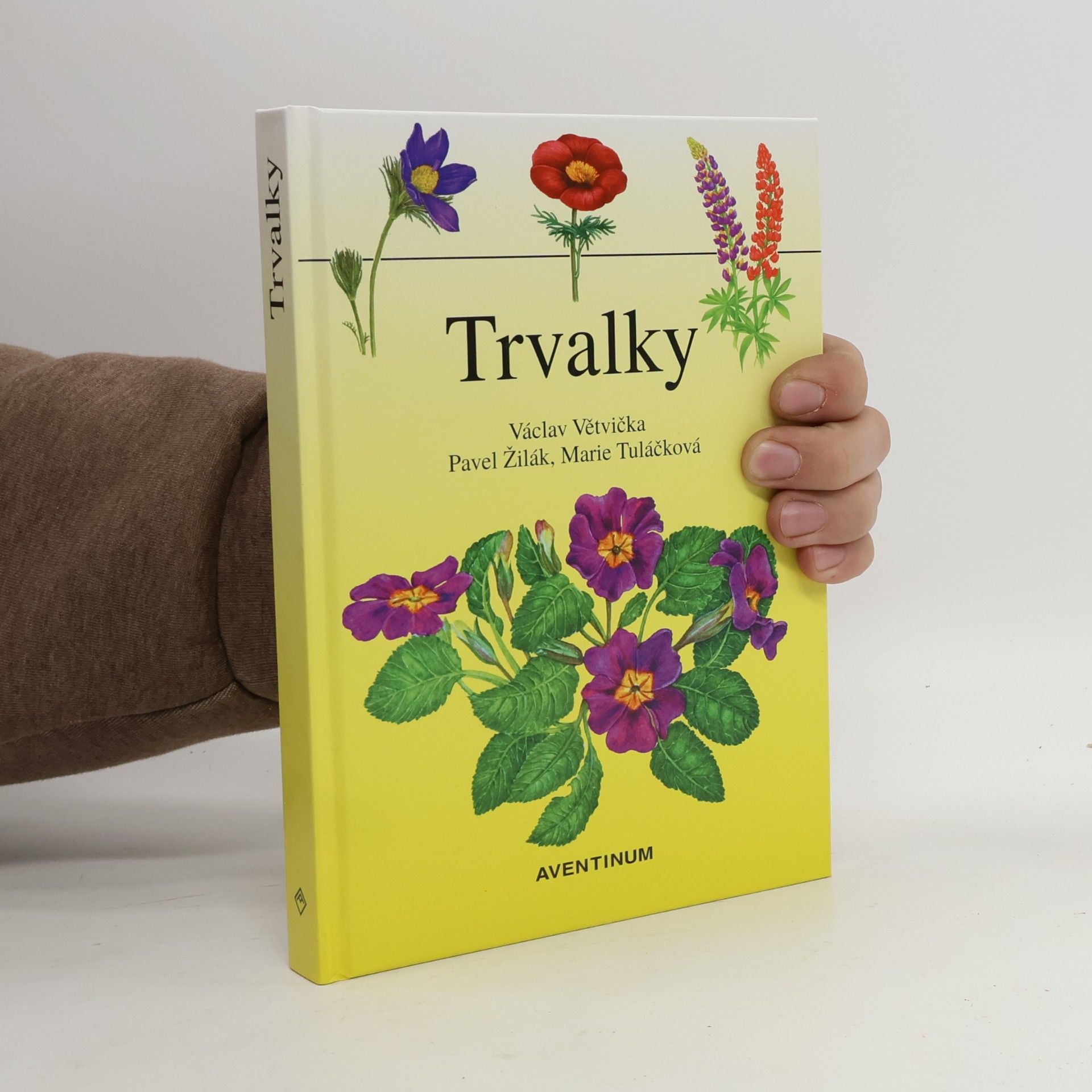 Trvalky