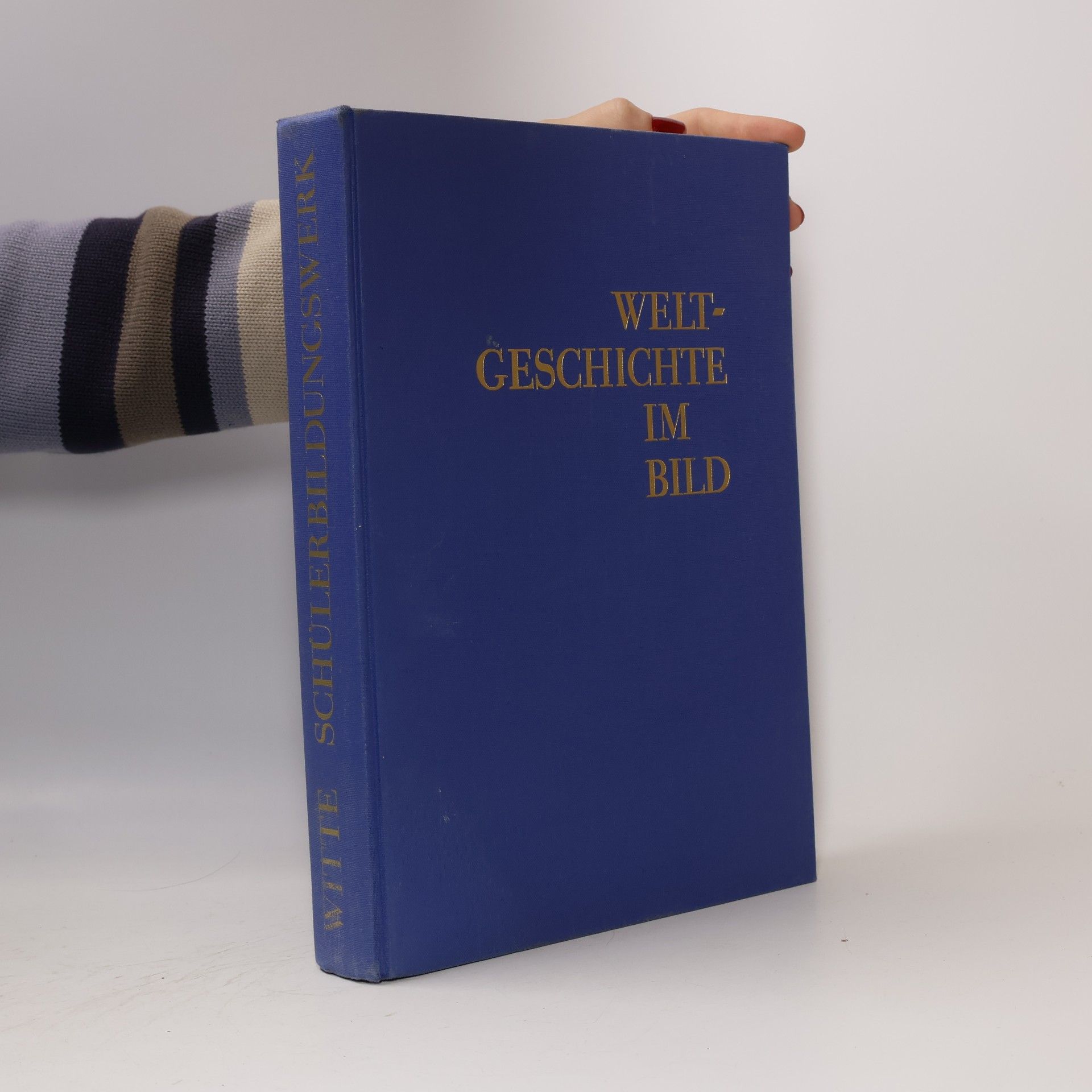 Weltgeschichte im Bild