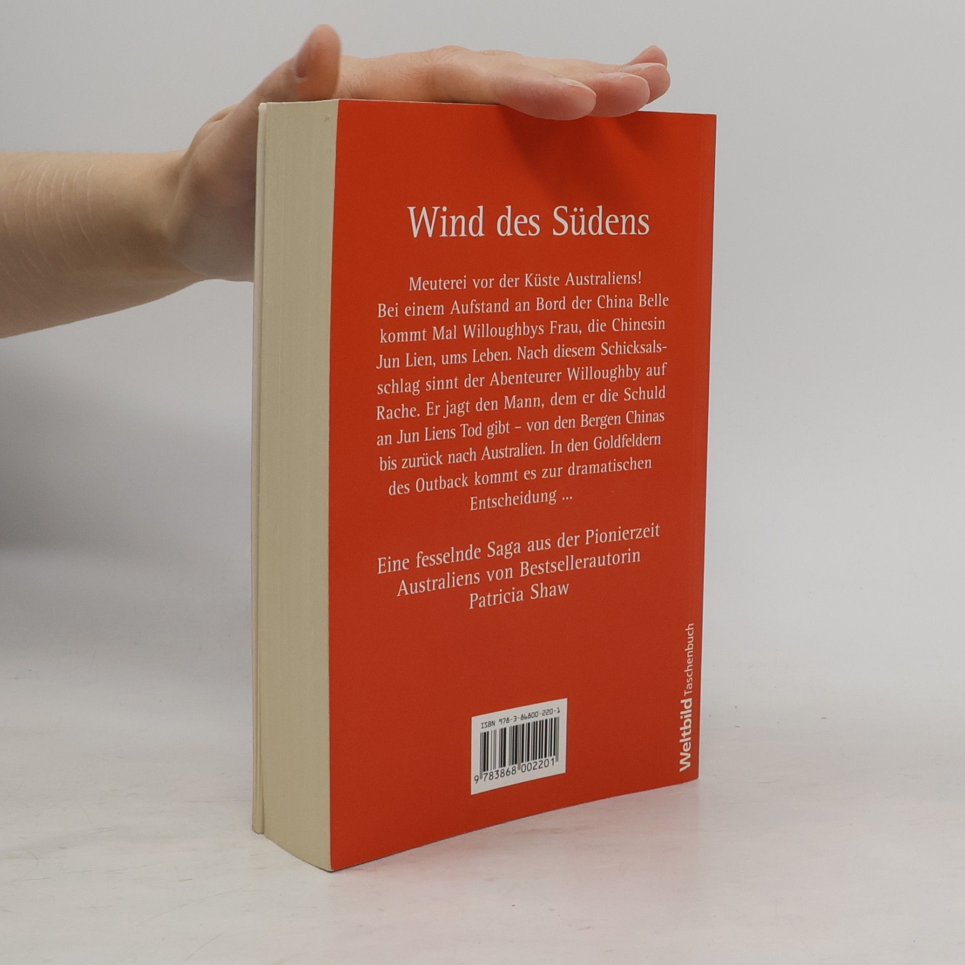 Patricia Shaw Wind des Südens