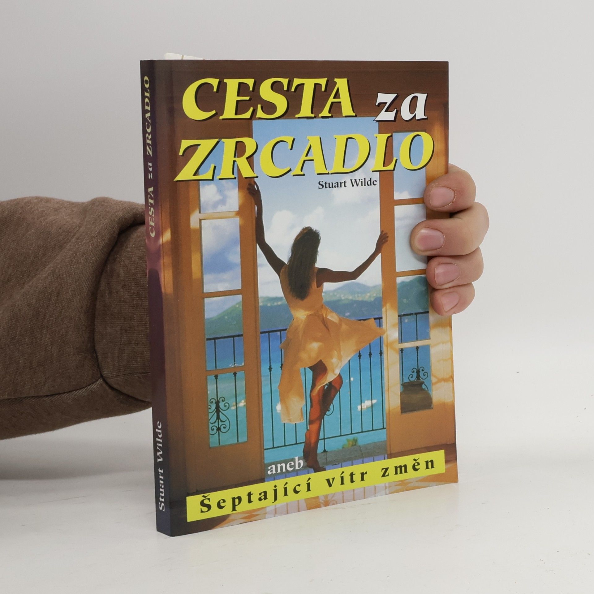 Cesta za zrcadlo