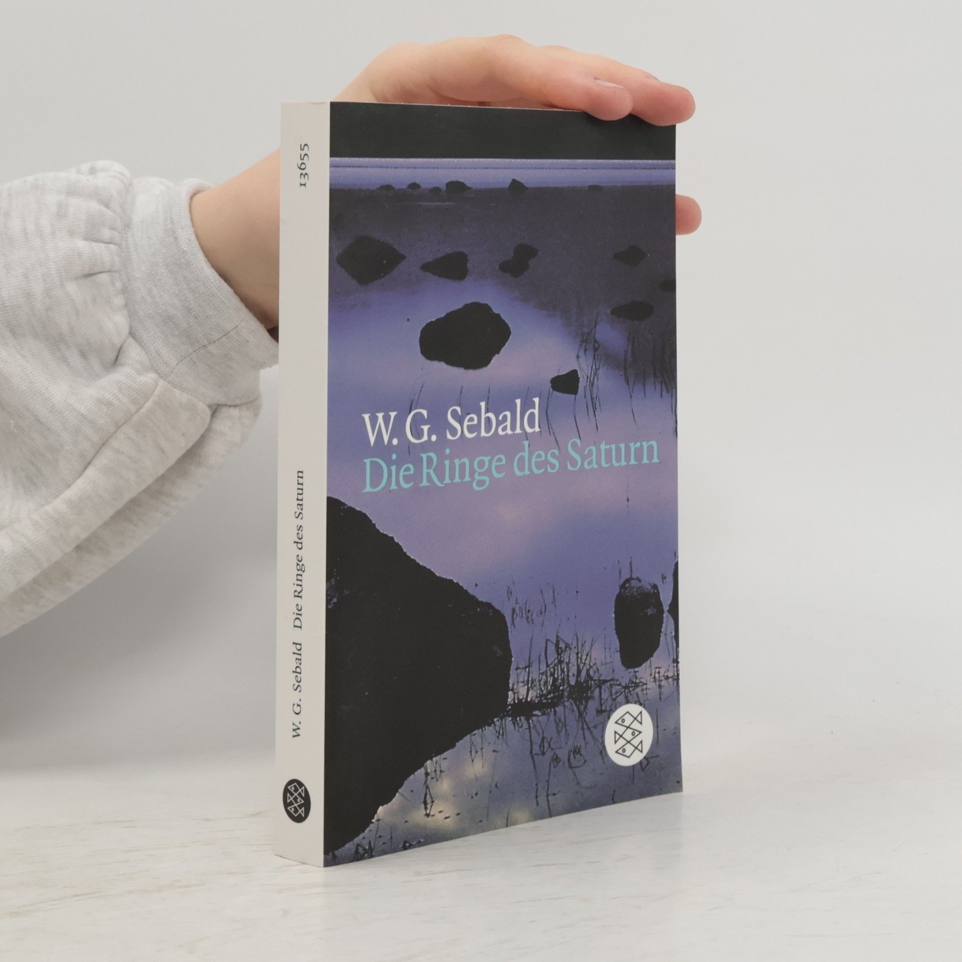 W. G. Sebald Die Ringe des Saturn