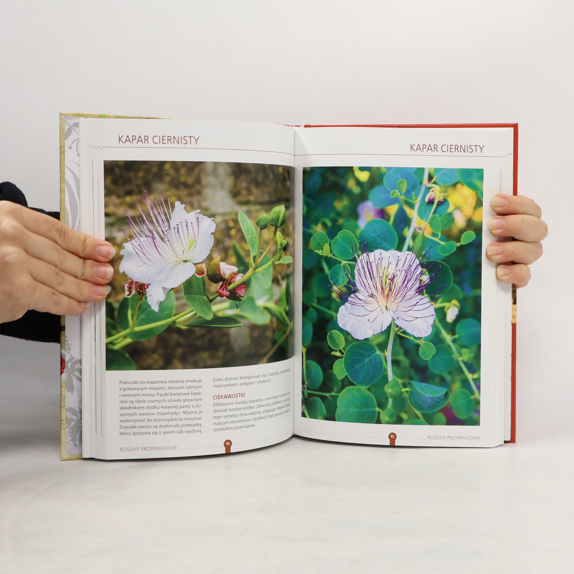 Aleksandra Halarewicz Atlas przypraw 80 gatunków aromatycznych roślin