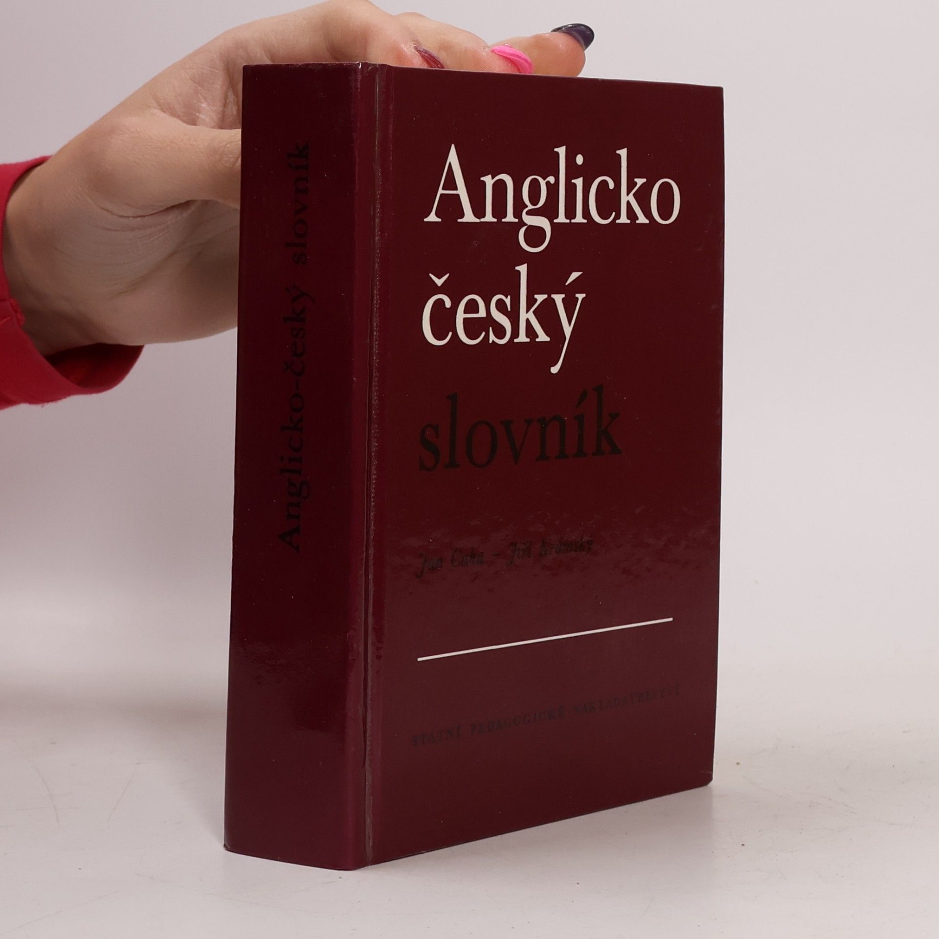 Anglicko-český slovník