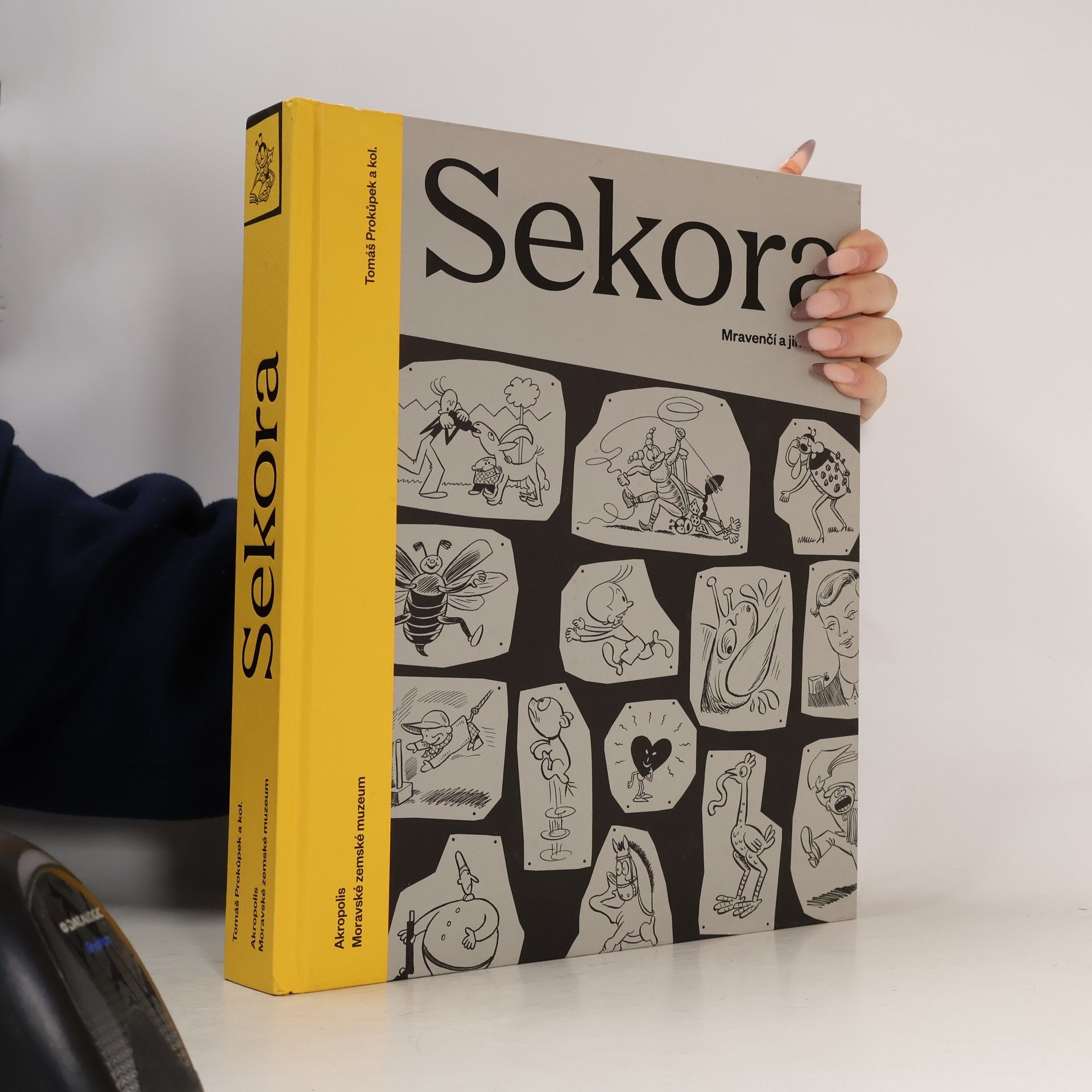 Sekora. Mravenčí a jiné práce