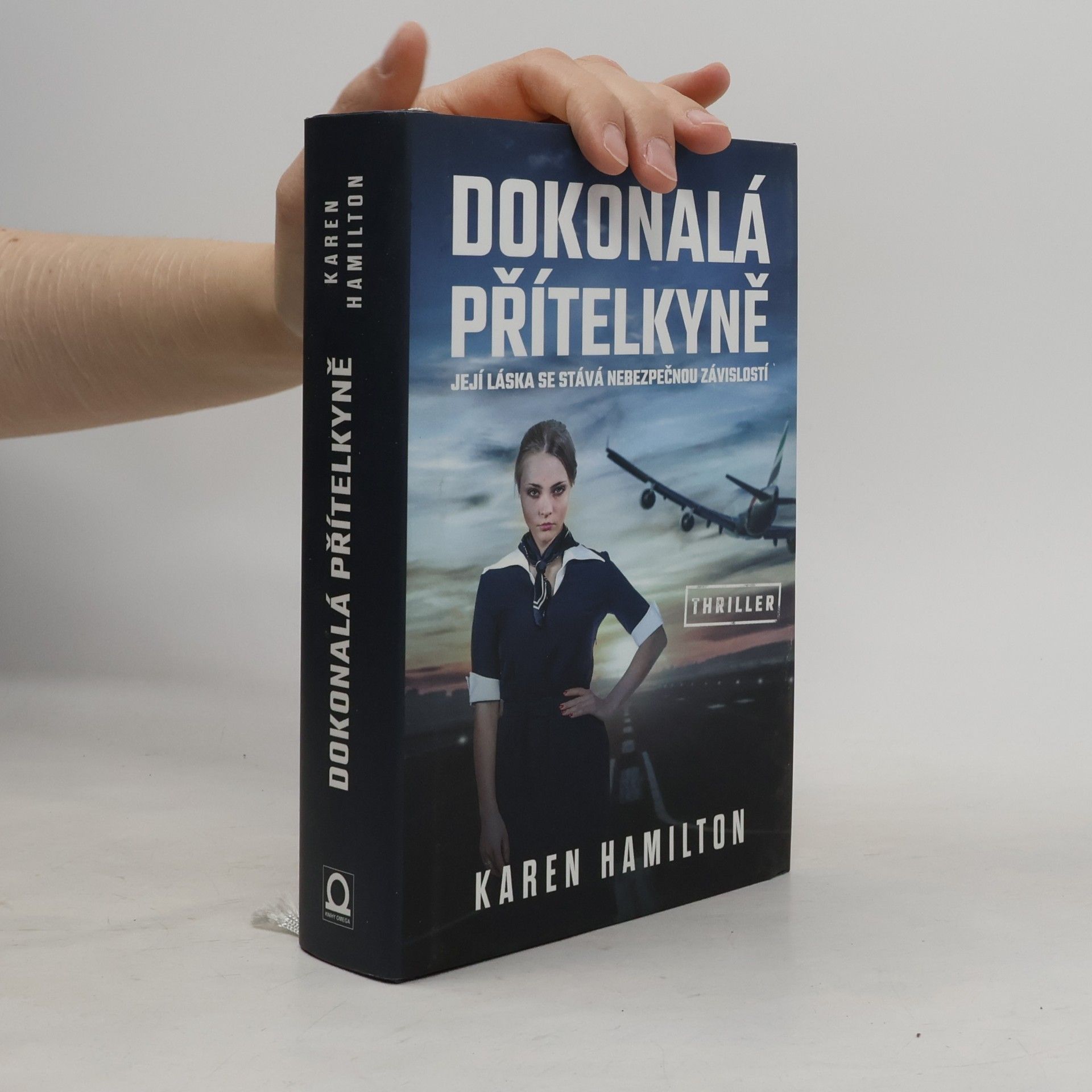 Karen Hamilton Dokonalá přítelkyně