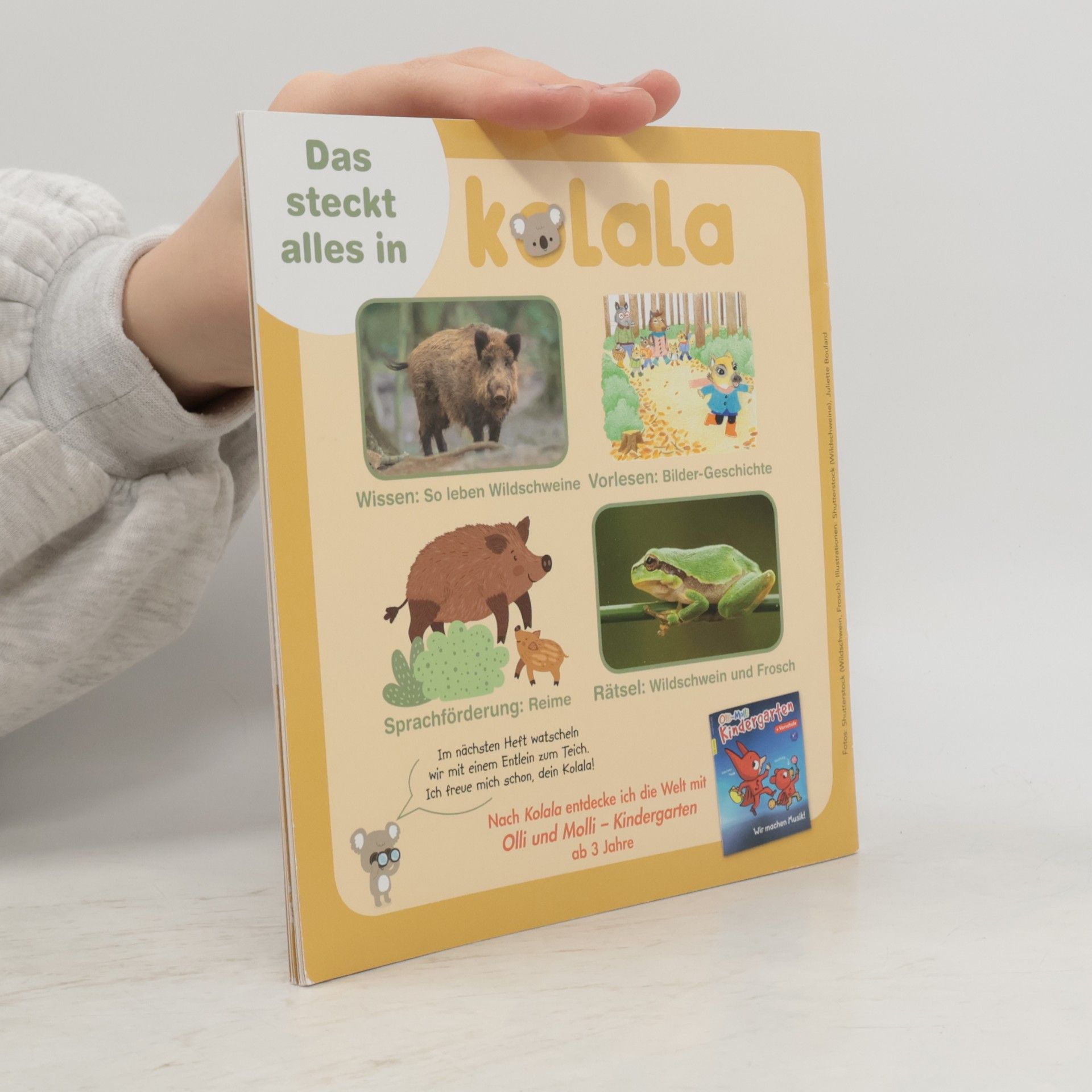 Brainmaster/Istockphoto Kolala 2