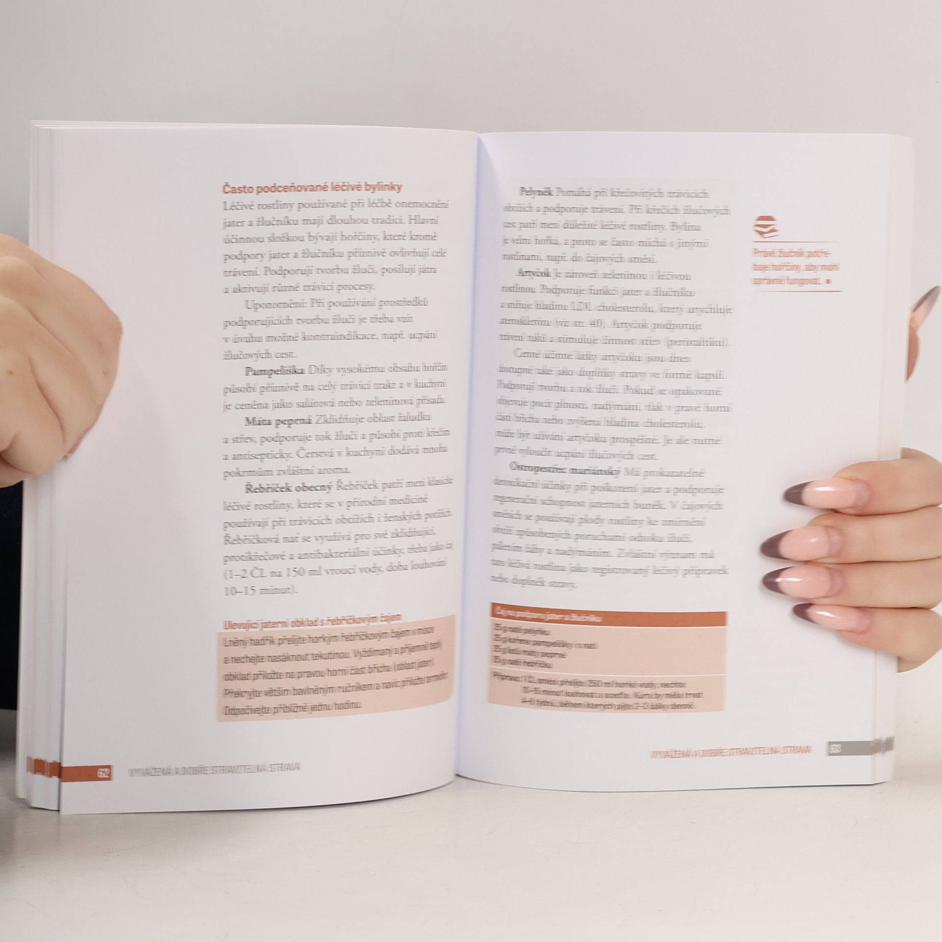 Various authors Silný tým: Játra, žlučník a slinivka břišní