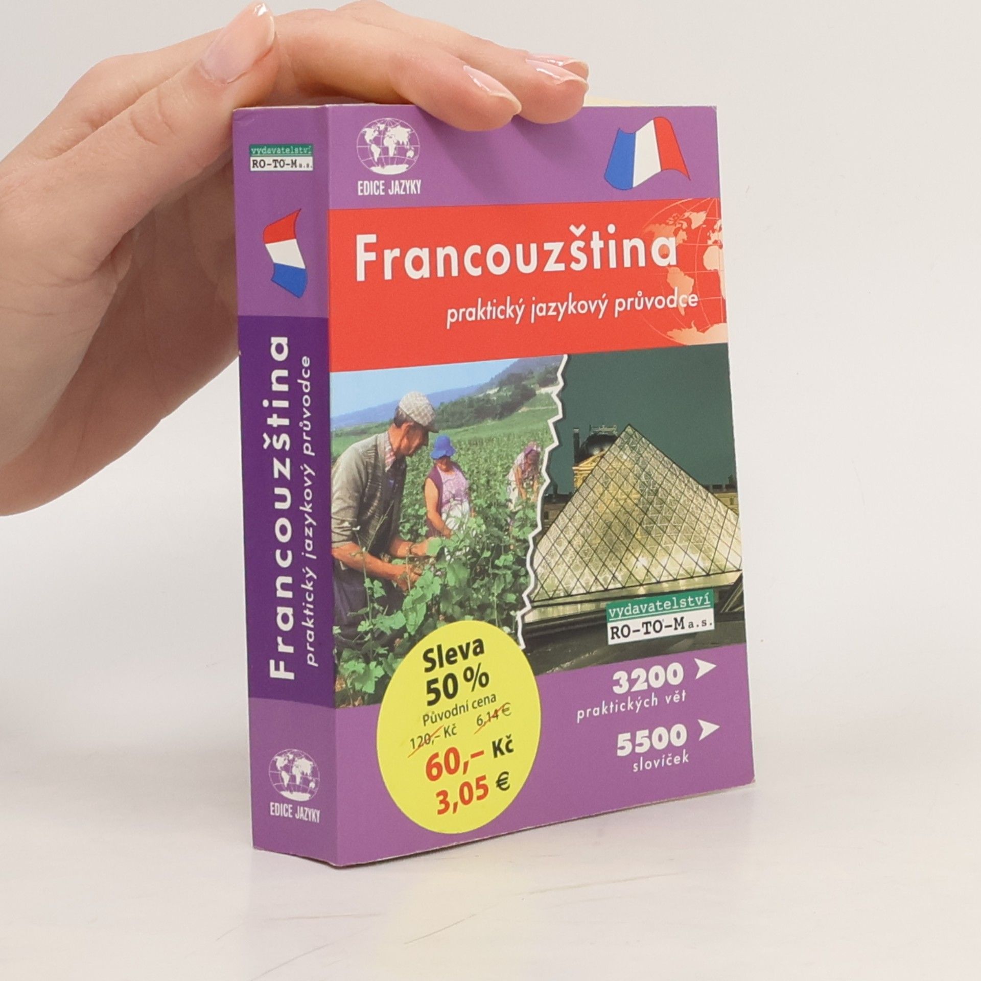 Francouzština - praktický jazykový průvodce