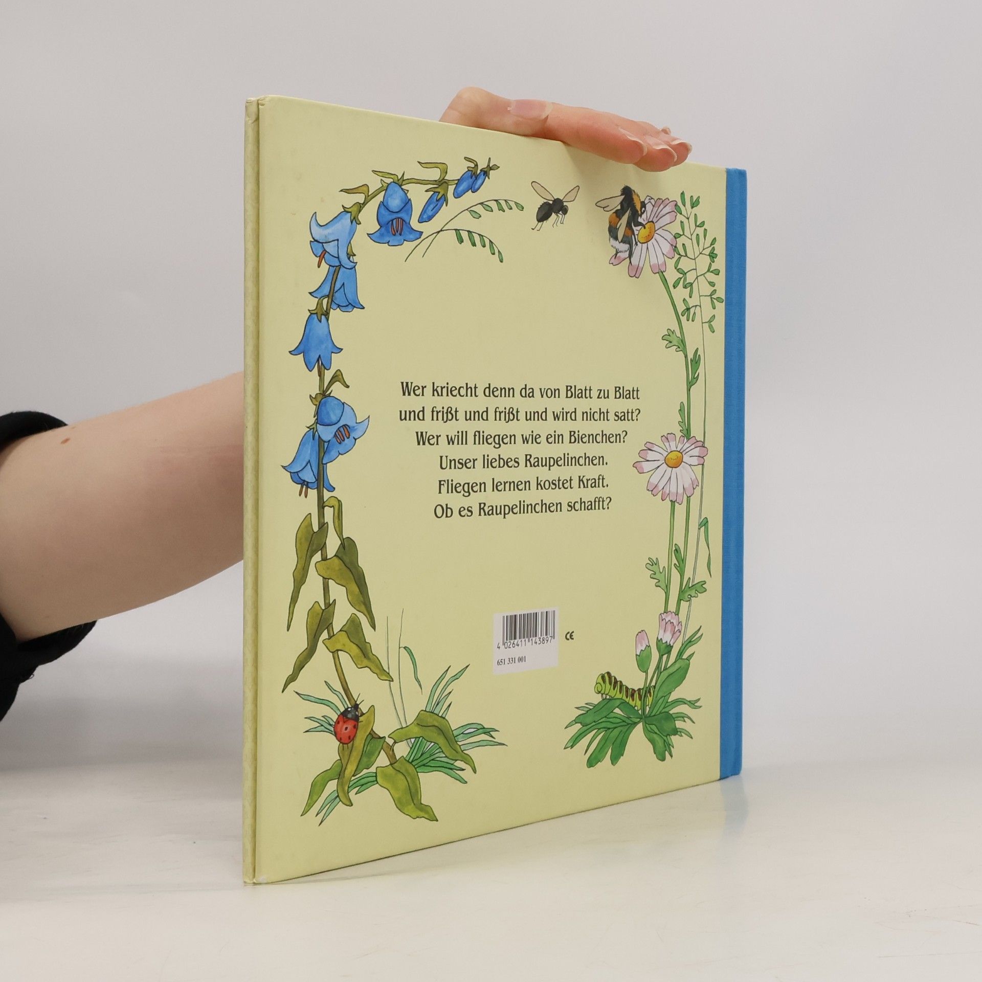 Various authors Raupelínchen lernt fliegen