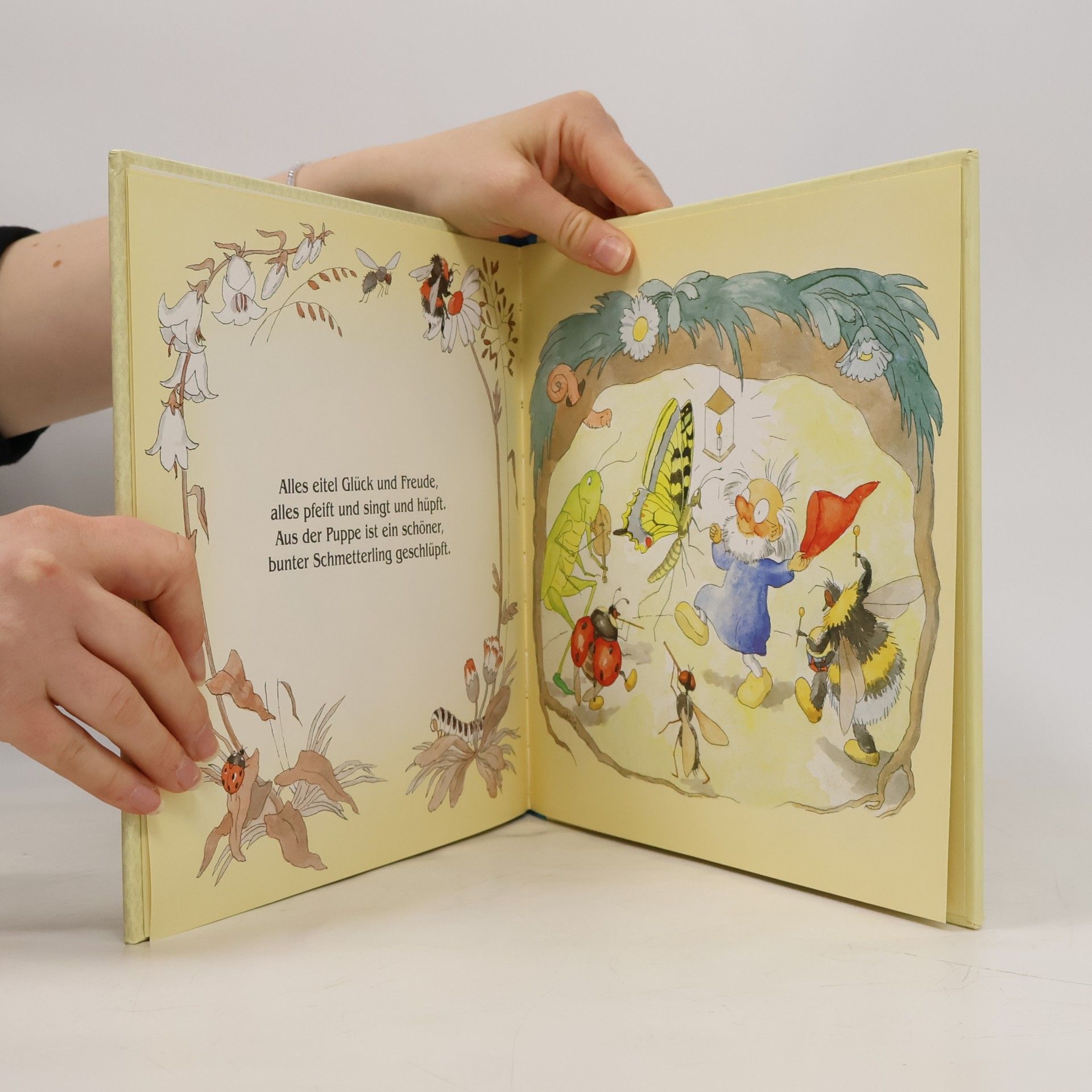 Various authors Raupelínchen lernt fliegen