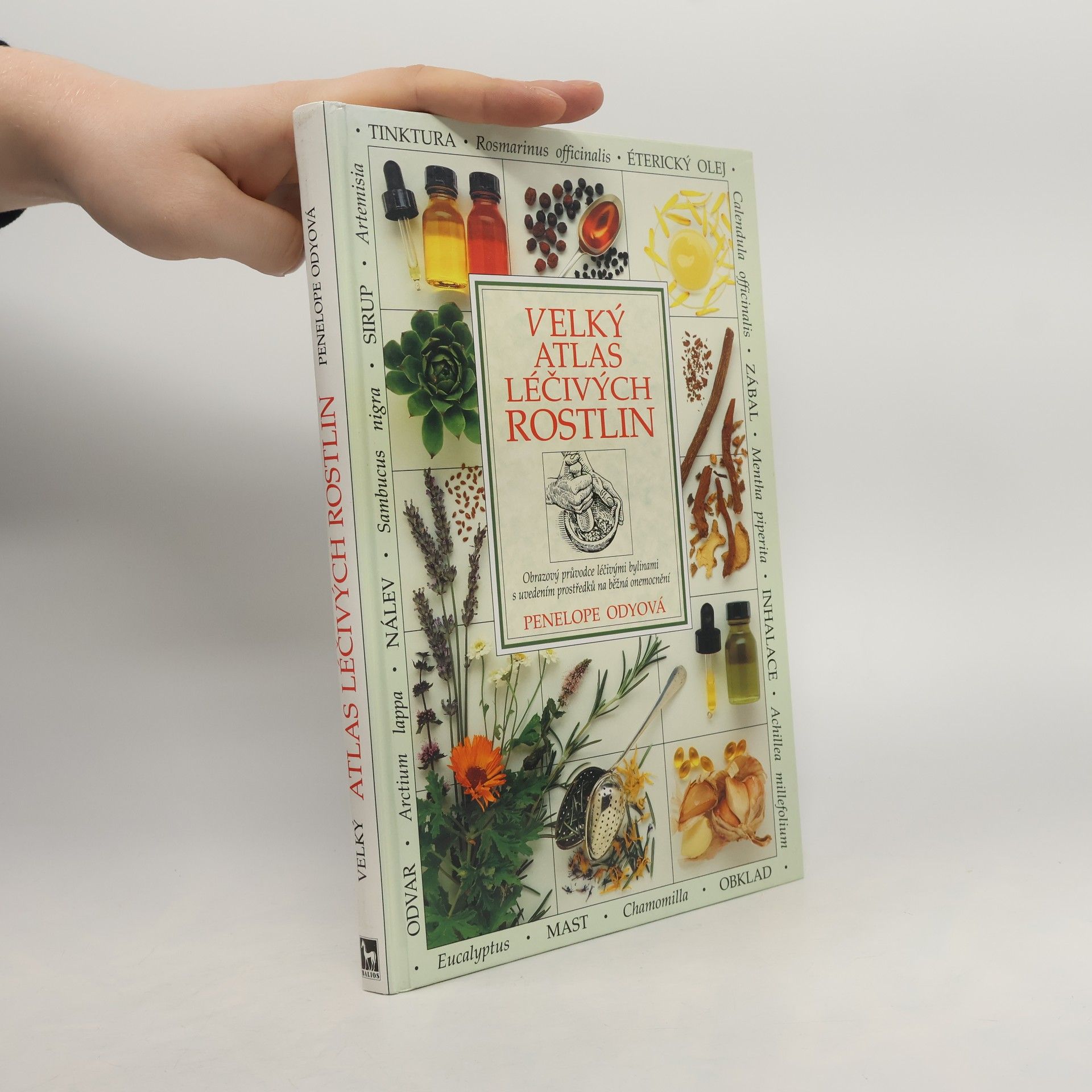 Penelope Ody Velký atlas léčivých rostlin