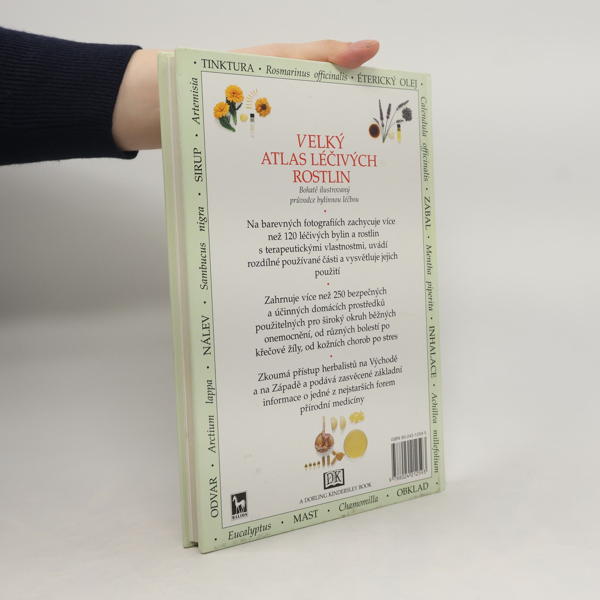 Penelope Ody Velký atlas léčivých rostlin