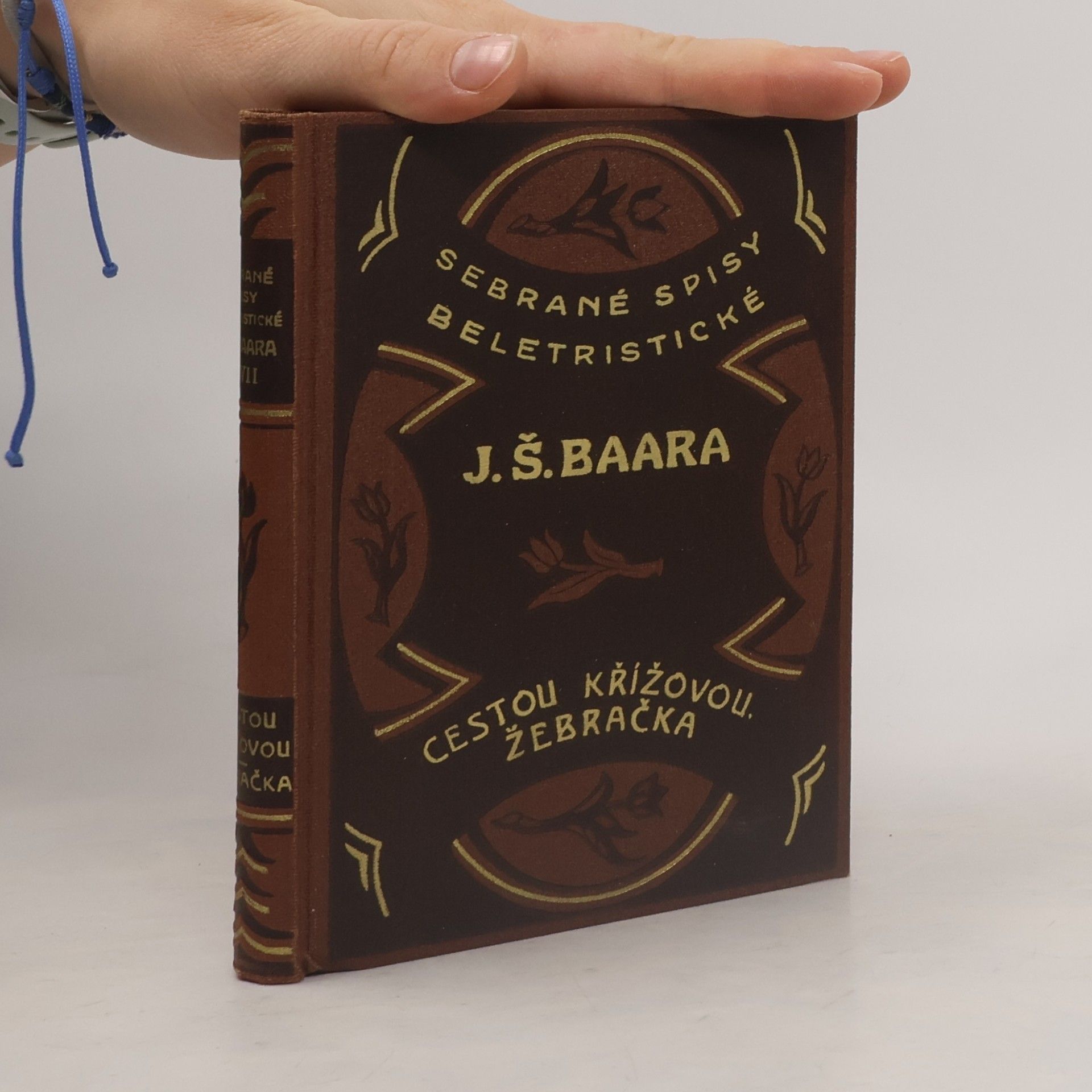 Sebrané spisy beletristické. Svazek XVII. Cestou křížovou. Žebračka