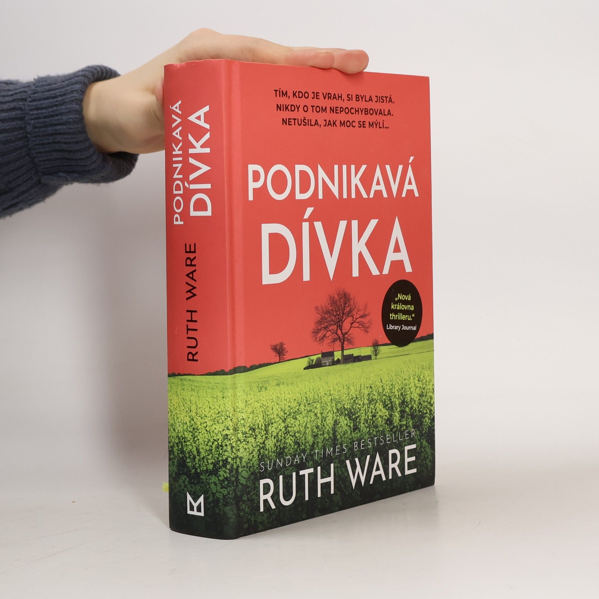 Podnikavá dívka