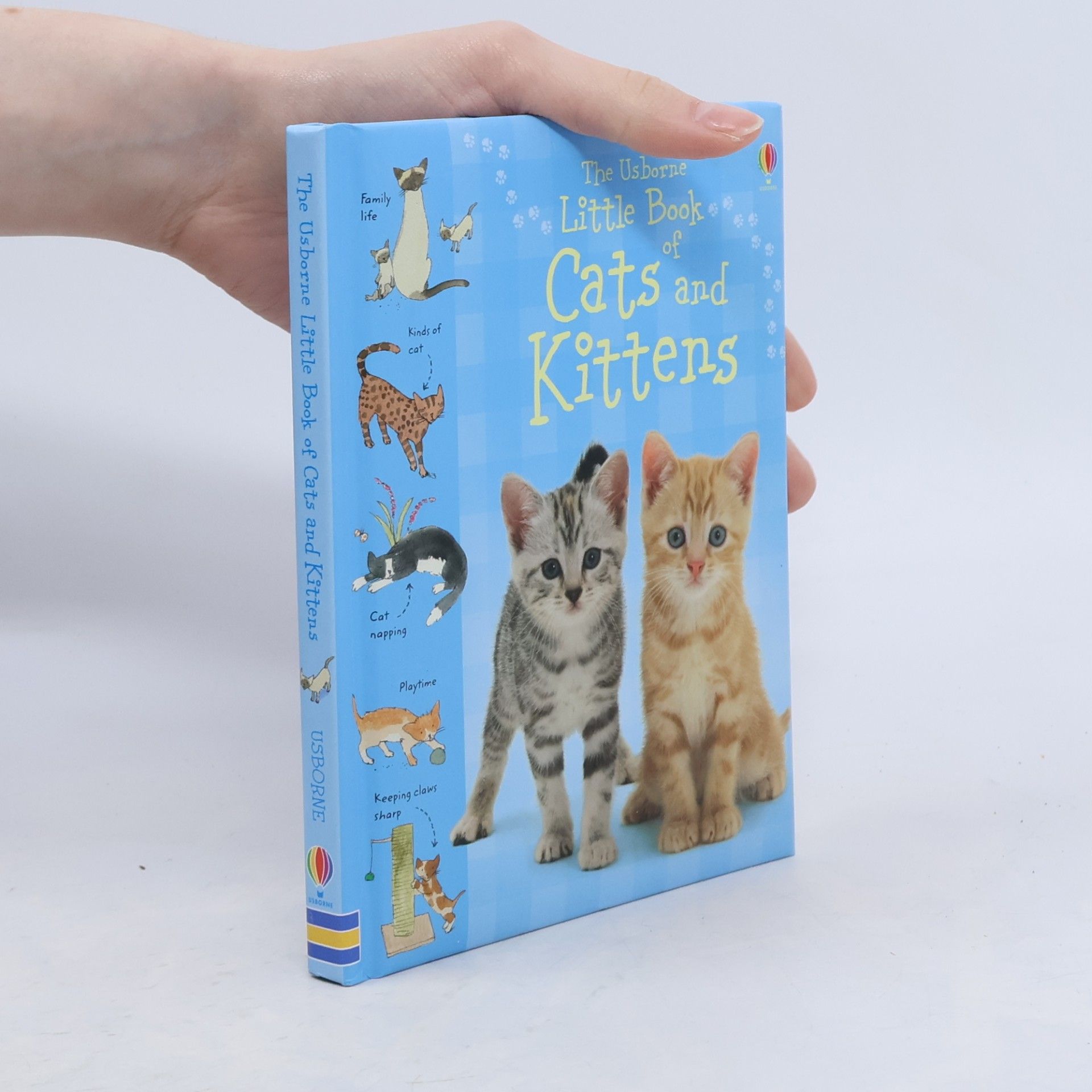 The Usborne little book of cats and kittens