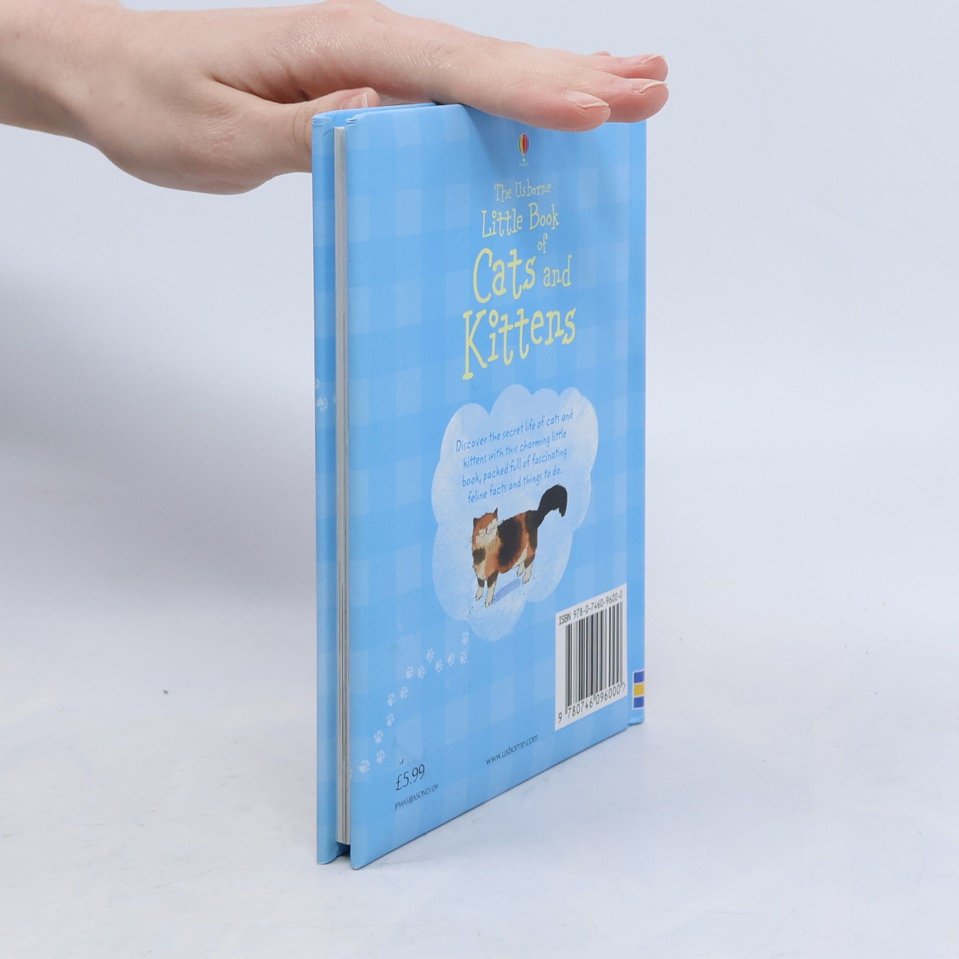 Kirsteen Rogers The Usborne little book of cats and kittens