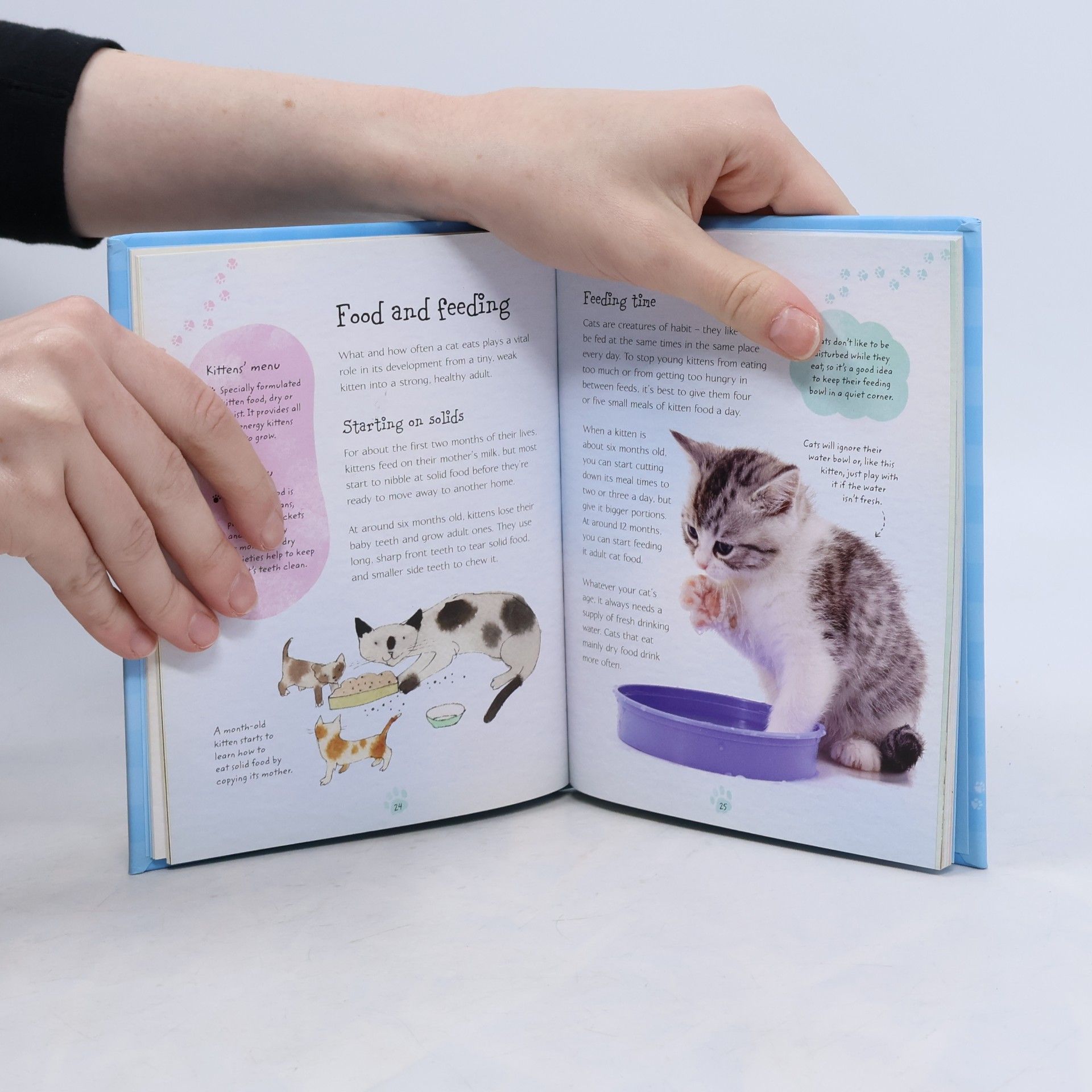 Kirsteen Rogers The Usborne little book of cats and kittens