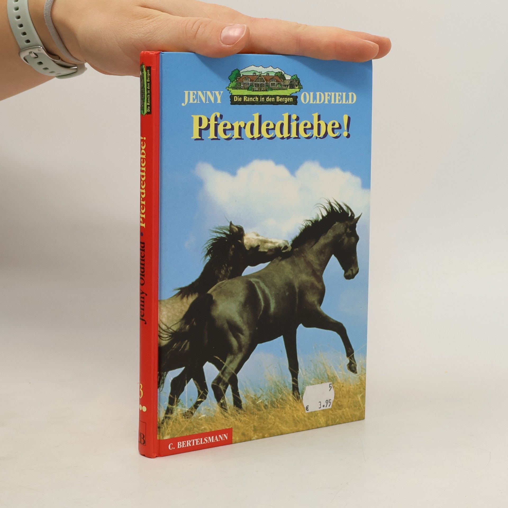 Pferdediebe!. Aus d. Engl. v. Birgit van der Avoort