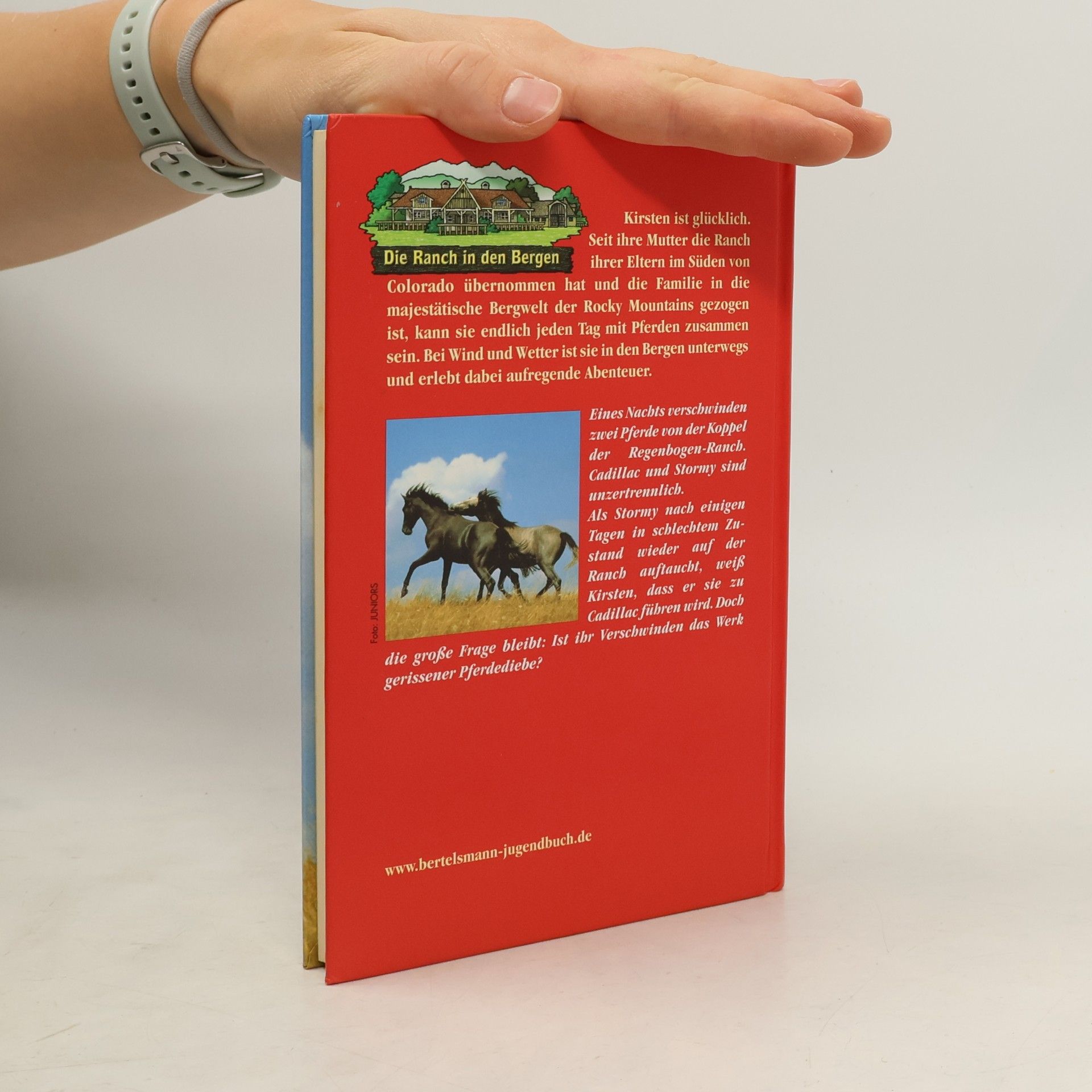 Jenny Oldfield Pferdediebe!. Aus d. Engl. v. Birgit van der Avoort