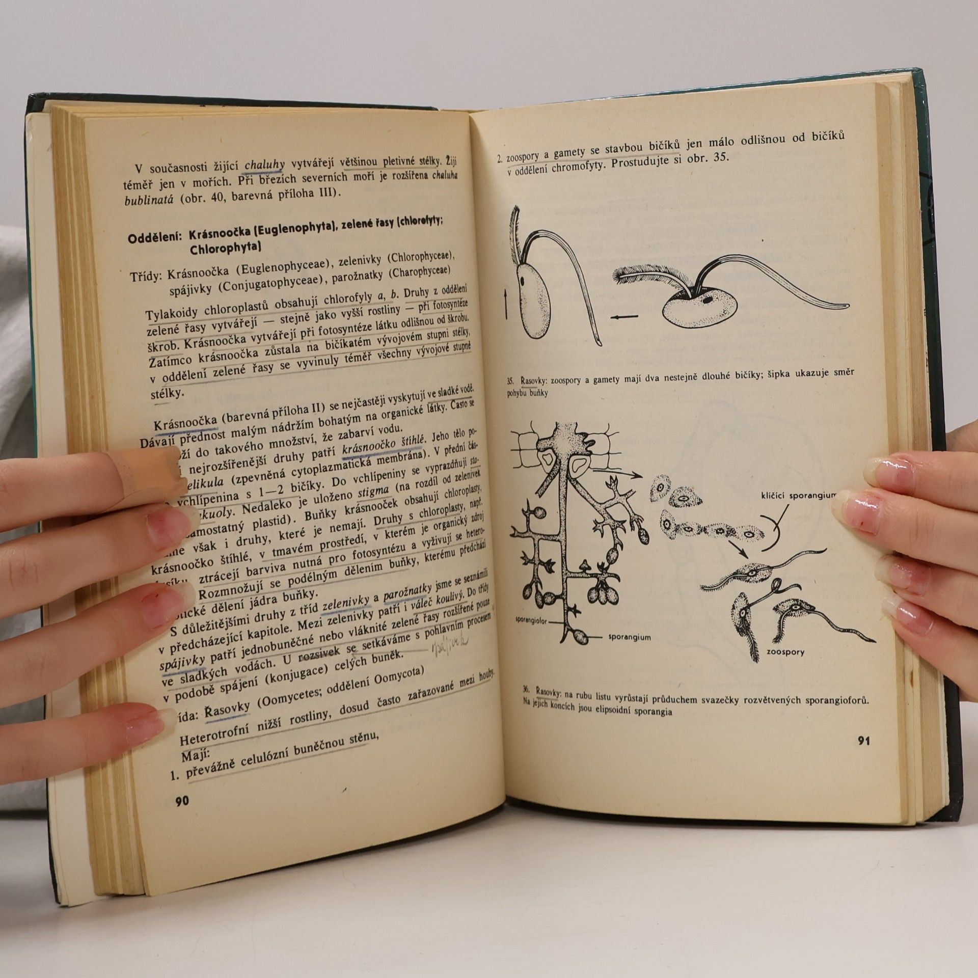 František Dvořák Biologie pro 1. ročník gymnázia