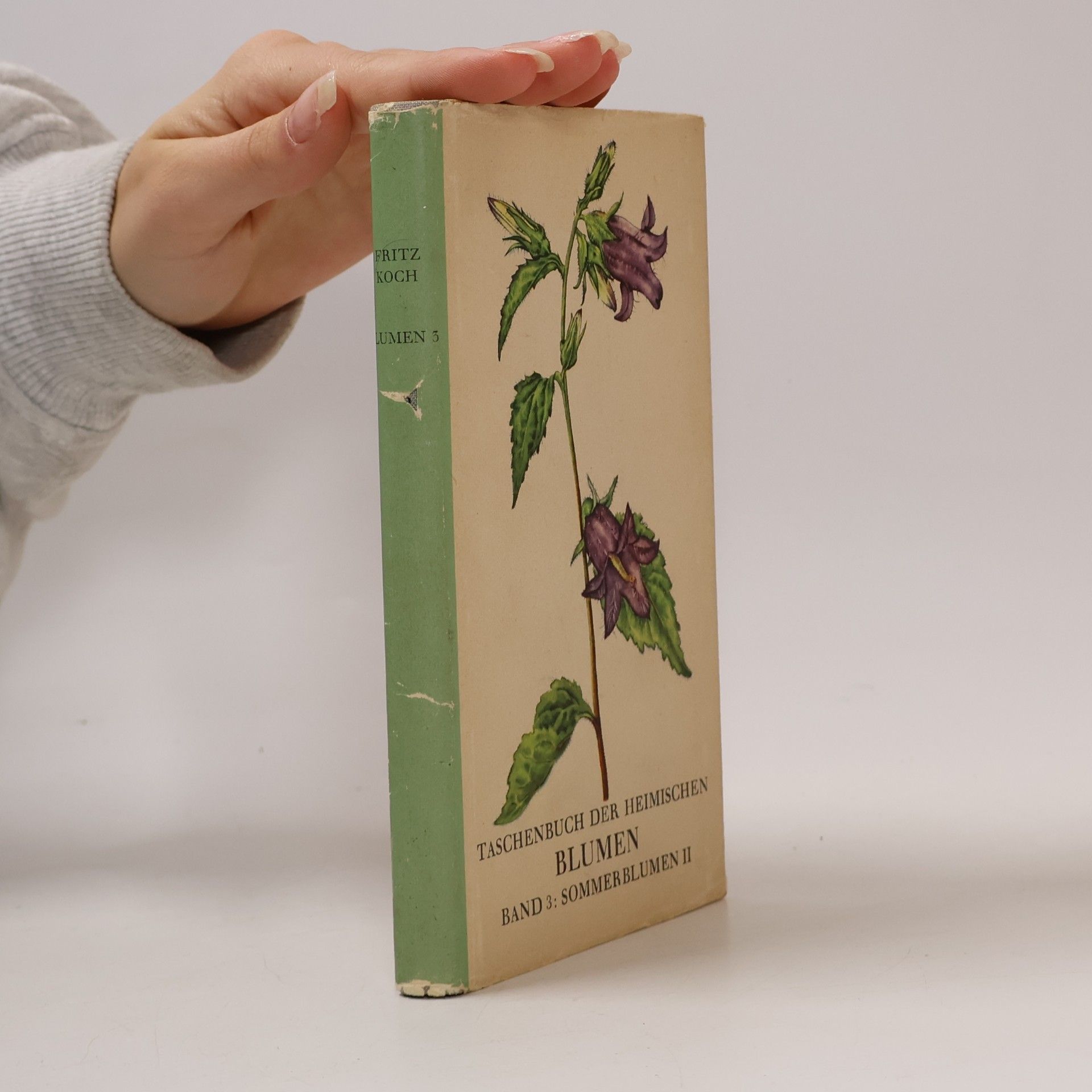 Taschenbuch der heimischen III. Sommerblumen II