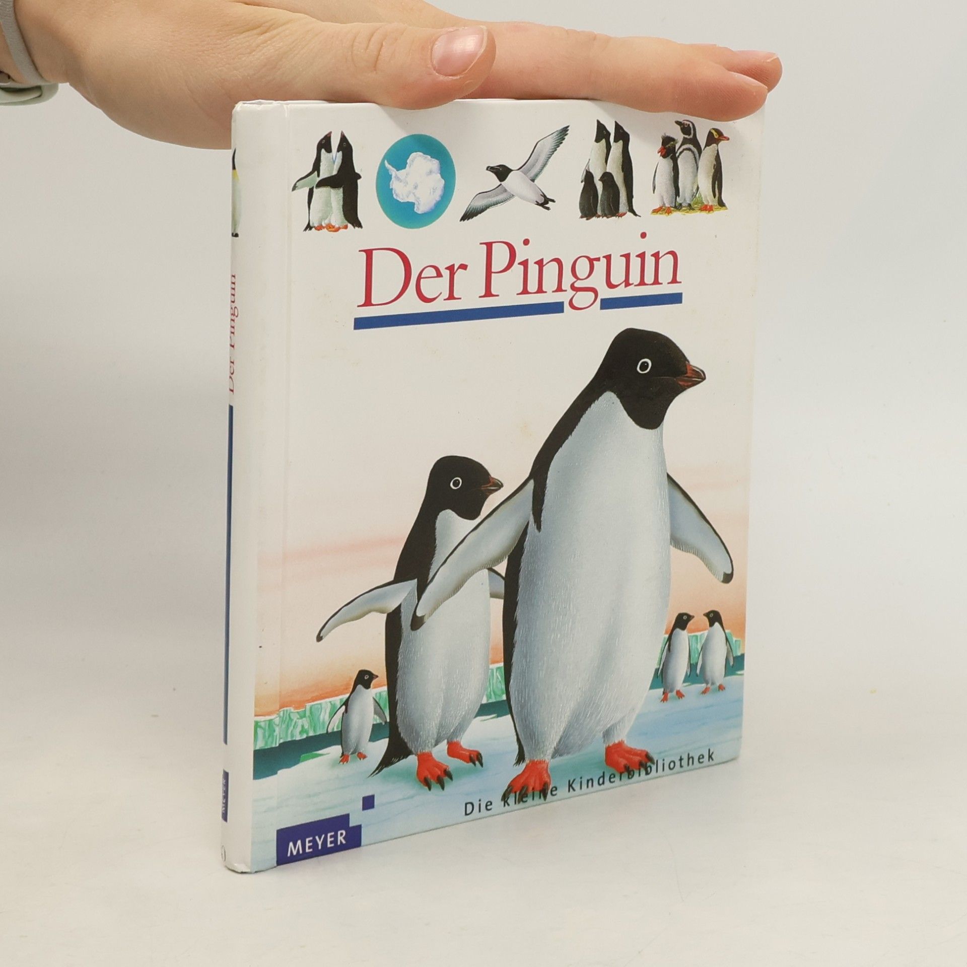 Der Pinguin