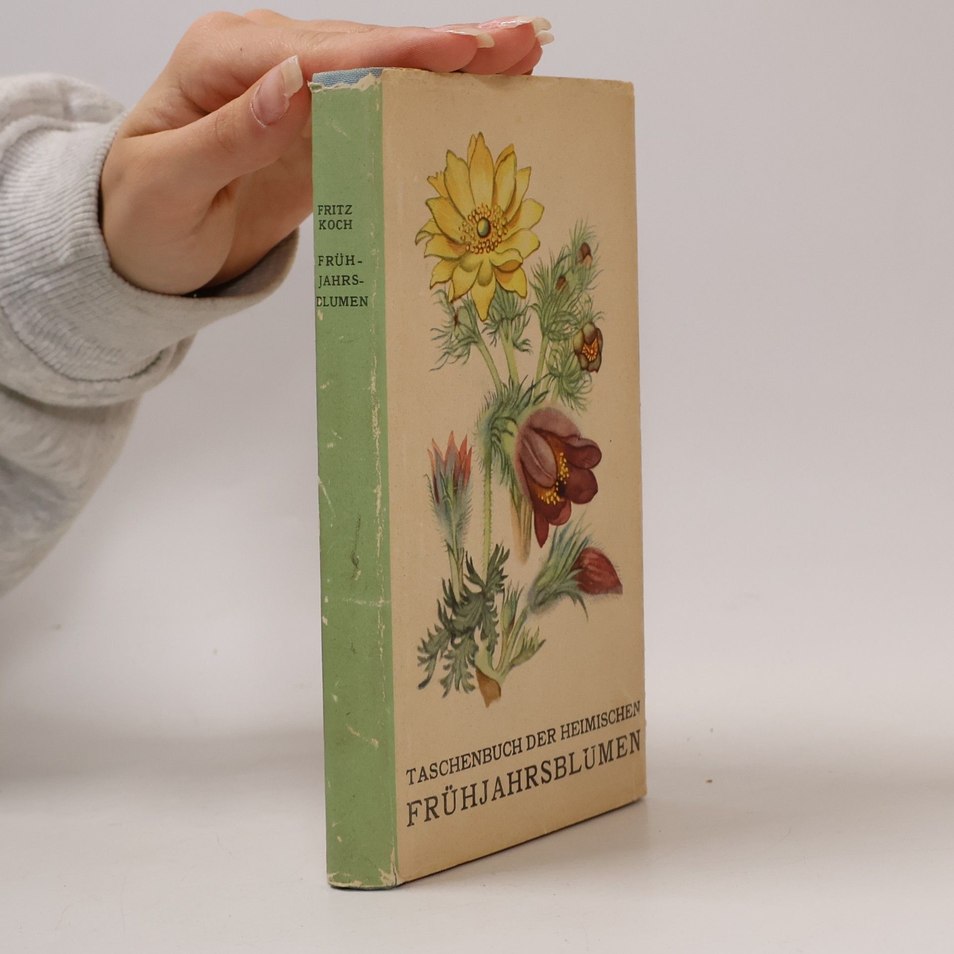 Tachenbuch der Heimischen Frühjahrsblumen