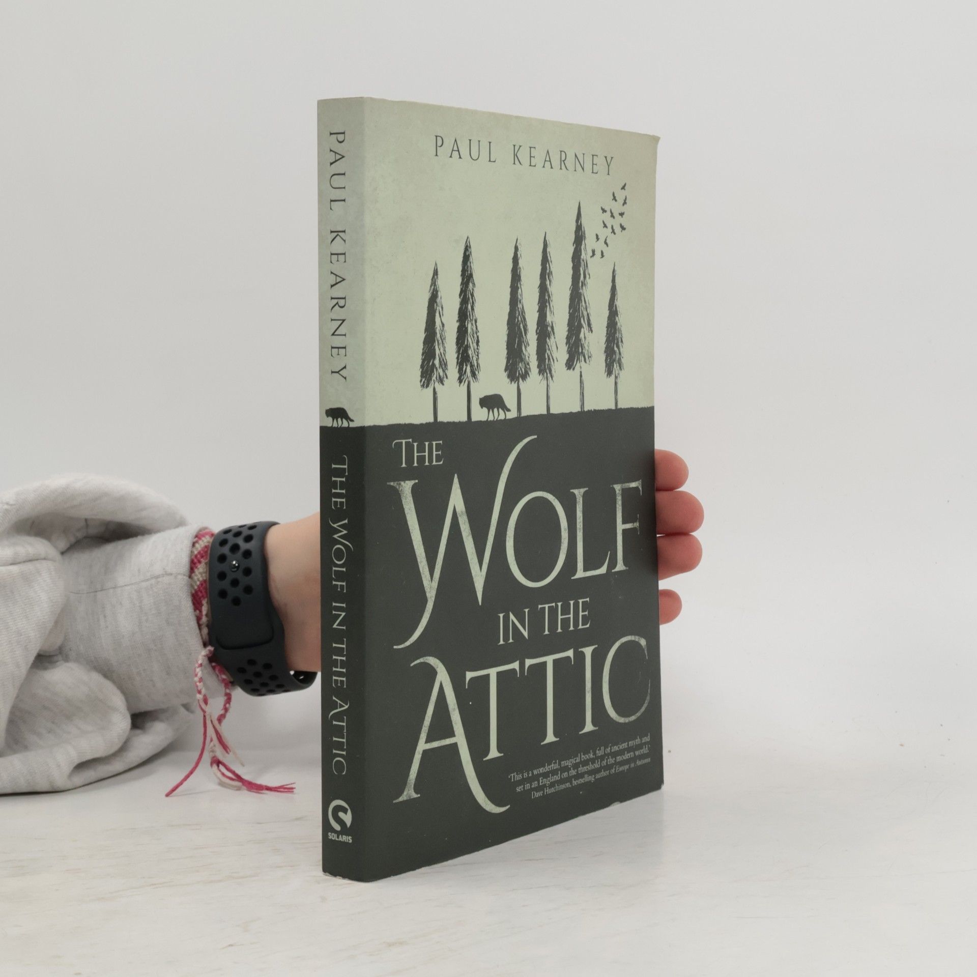 The Wolf in the Attic